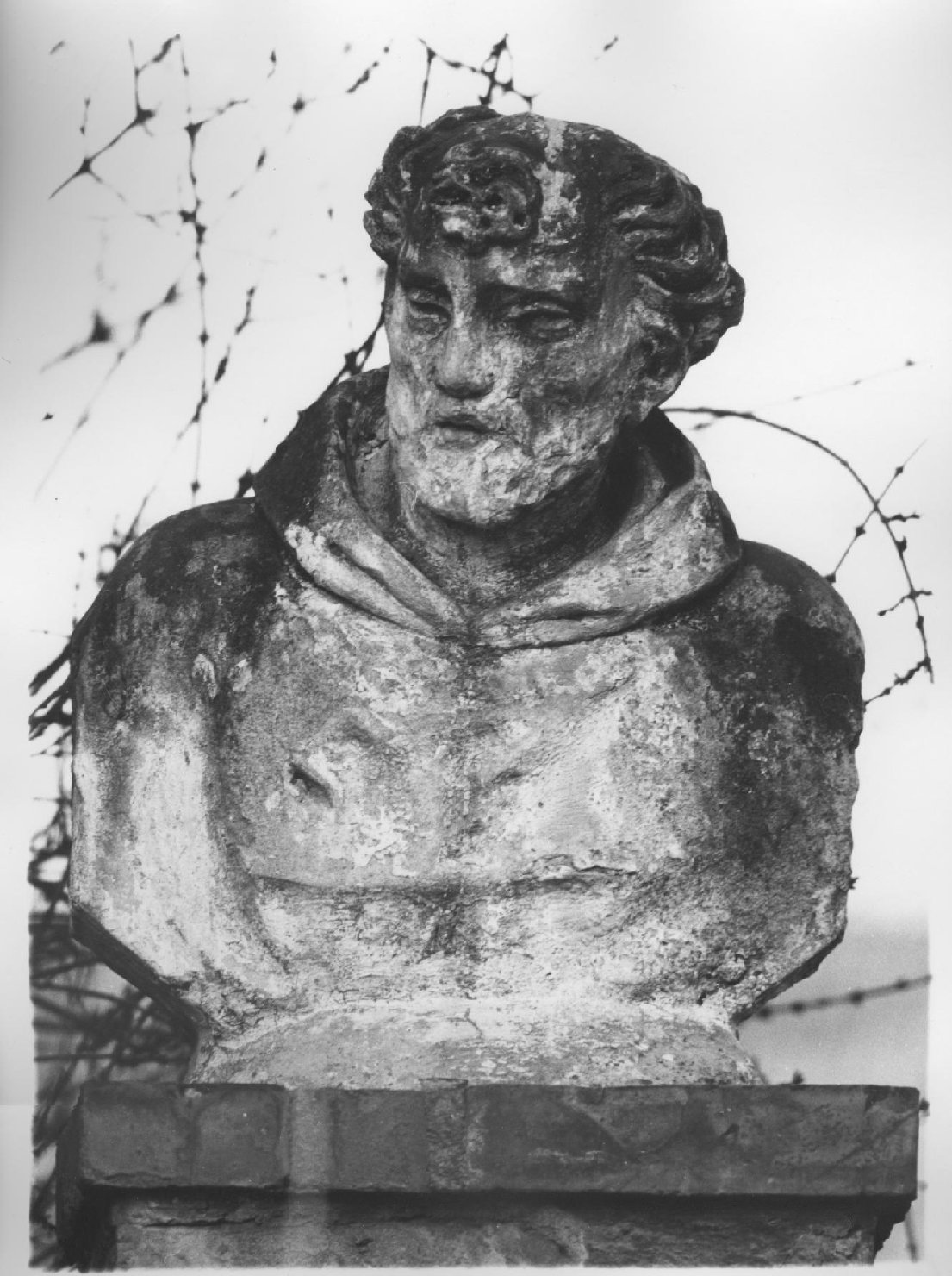 busto maschile (scultura) - ambito veronese (prima metà sec. XVIII)