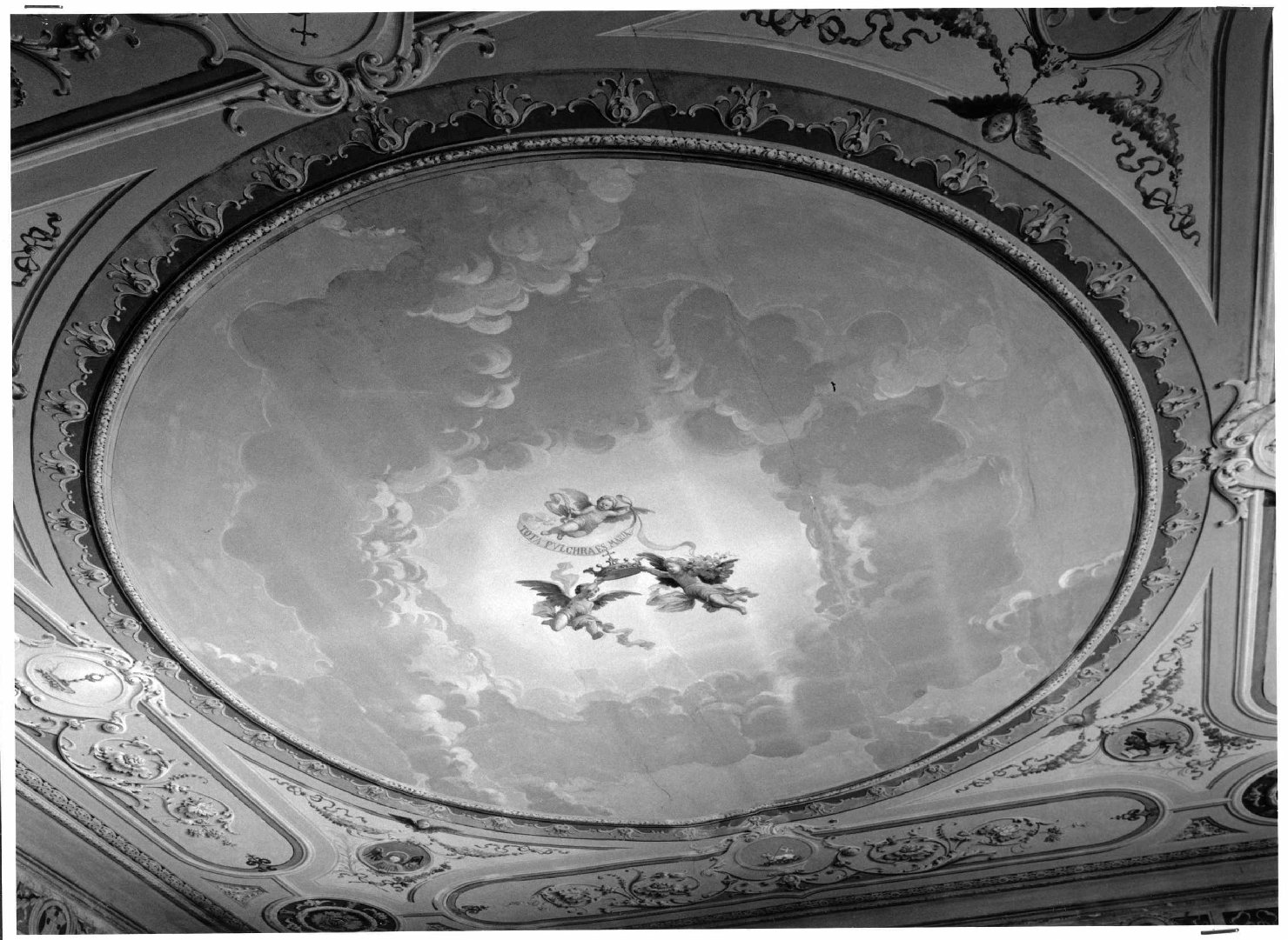 angeli (soffitto dipinto) di Zanoni Luigi (sec. XX)