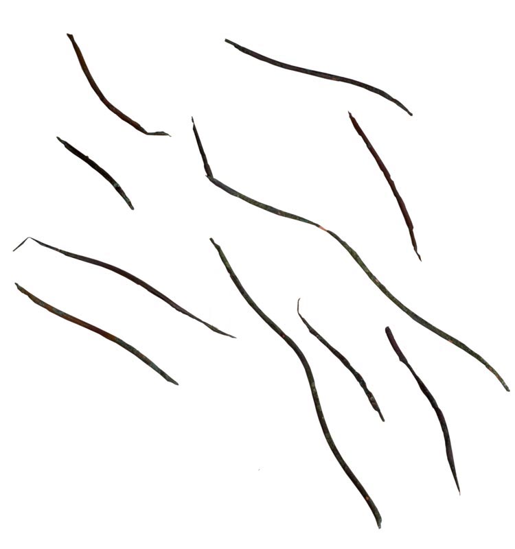 lesina (Età del Bronzo)