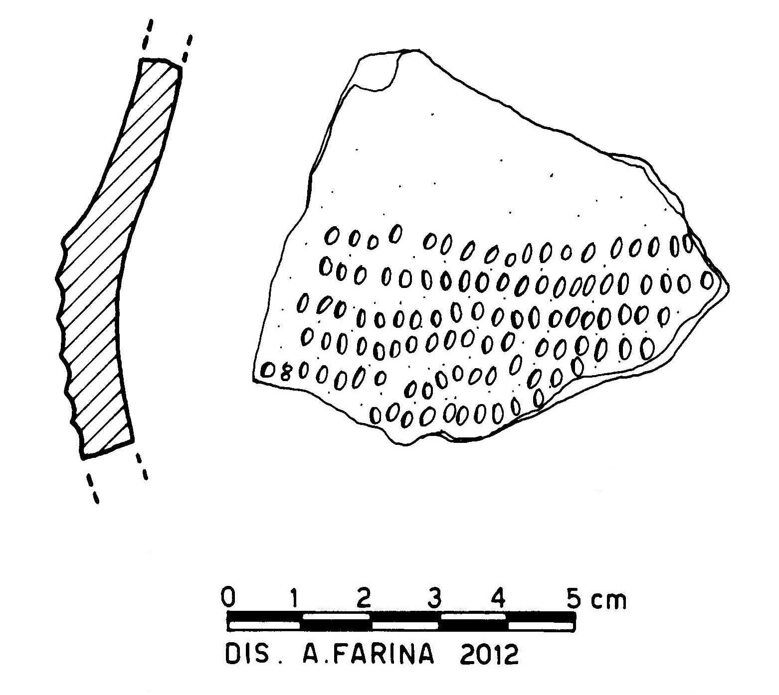 vaso a collo/ collo - Cultura di Ozieri (Neolitico)