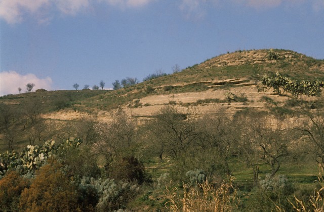 Necropoli di Monte Luna (area ad uso funerario, necropoli) - Senorbì (CA)  (inizio età punica-età romana)