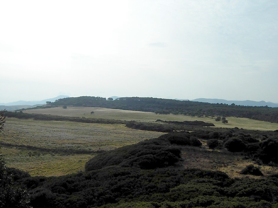 Serra Maverru (area ad uso funerario, necropoli) - Gonnesa (CA)  (Neolitico recente/ Età antica del bronzo)