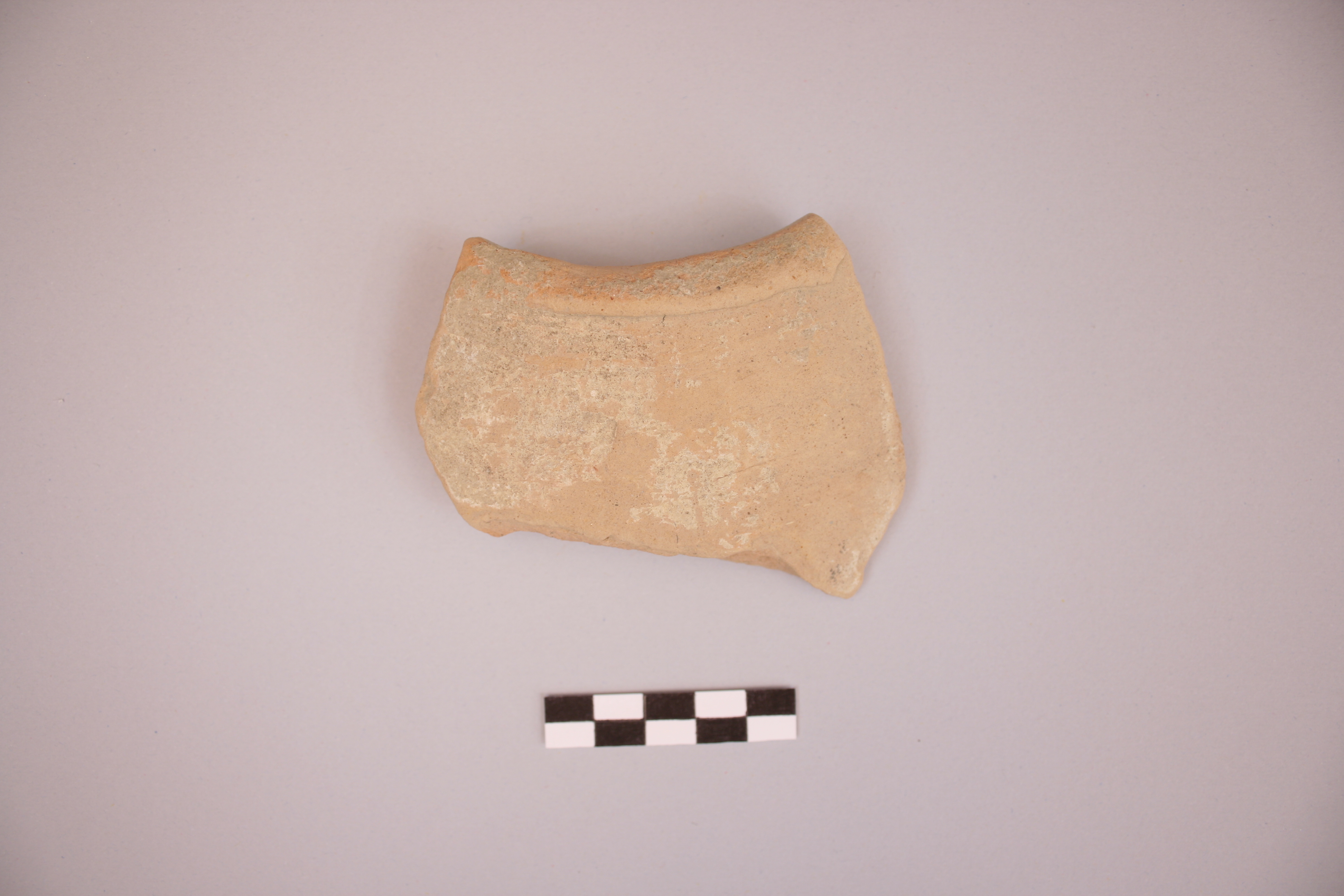 materiale proveniente da ricognizione (ceramica) (Età punico-romana)