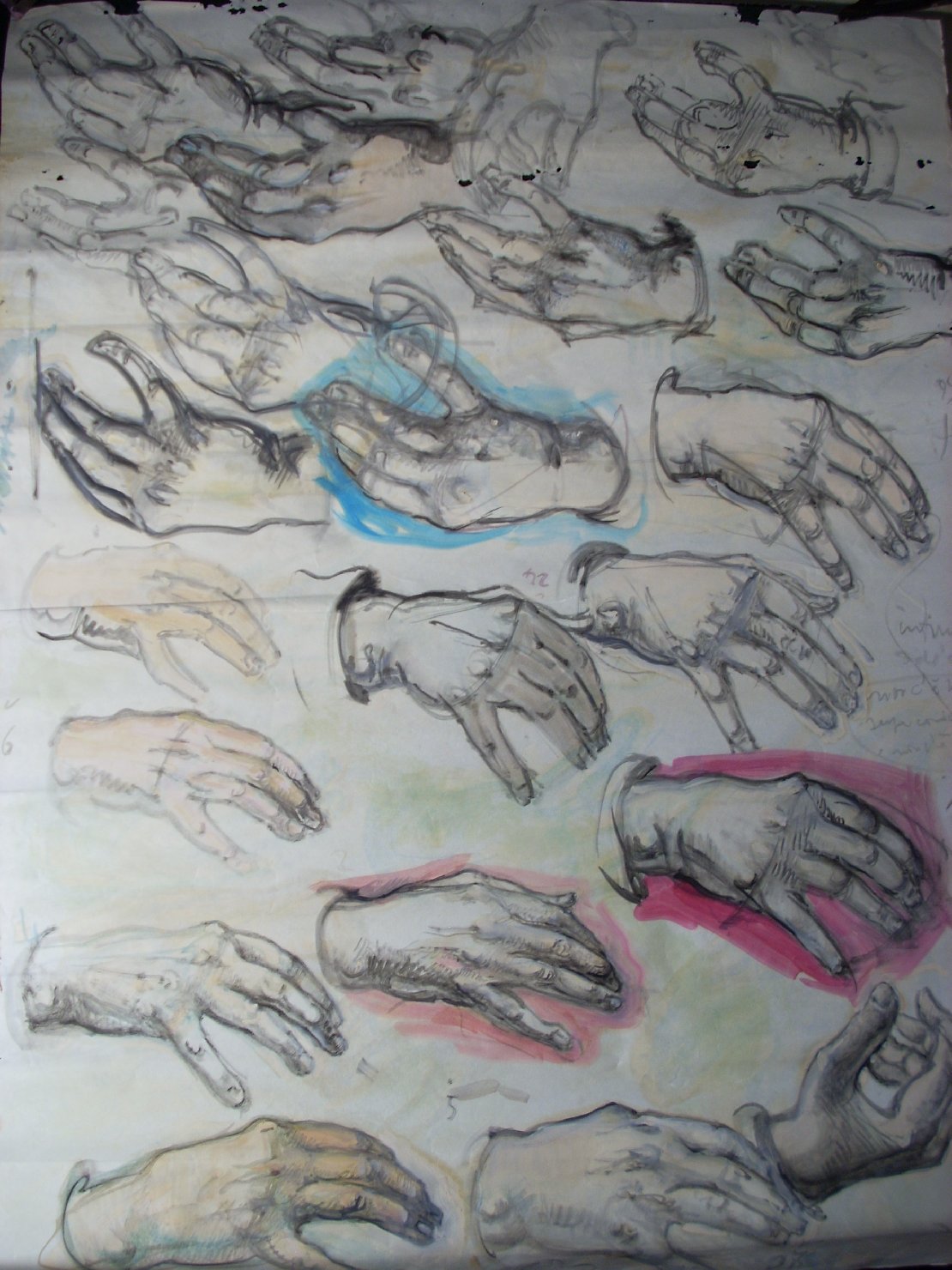 Studio di mani con ombre blu e rosa, studio di mani (disegno) di Ciamarra Elena (sec. XX)