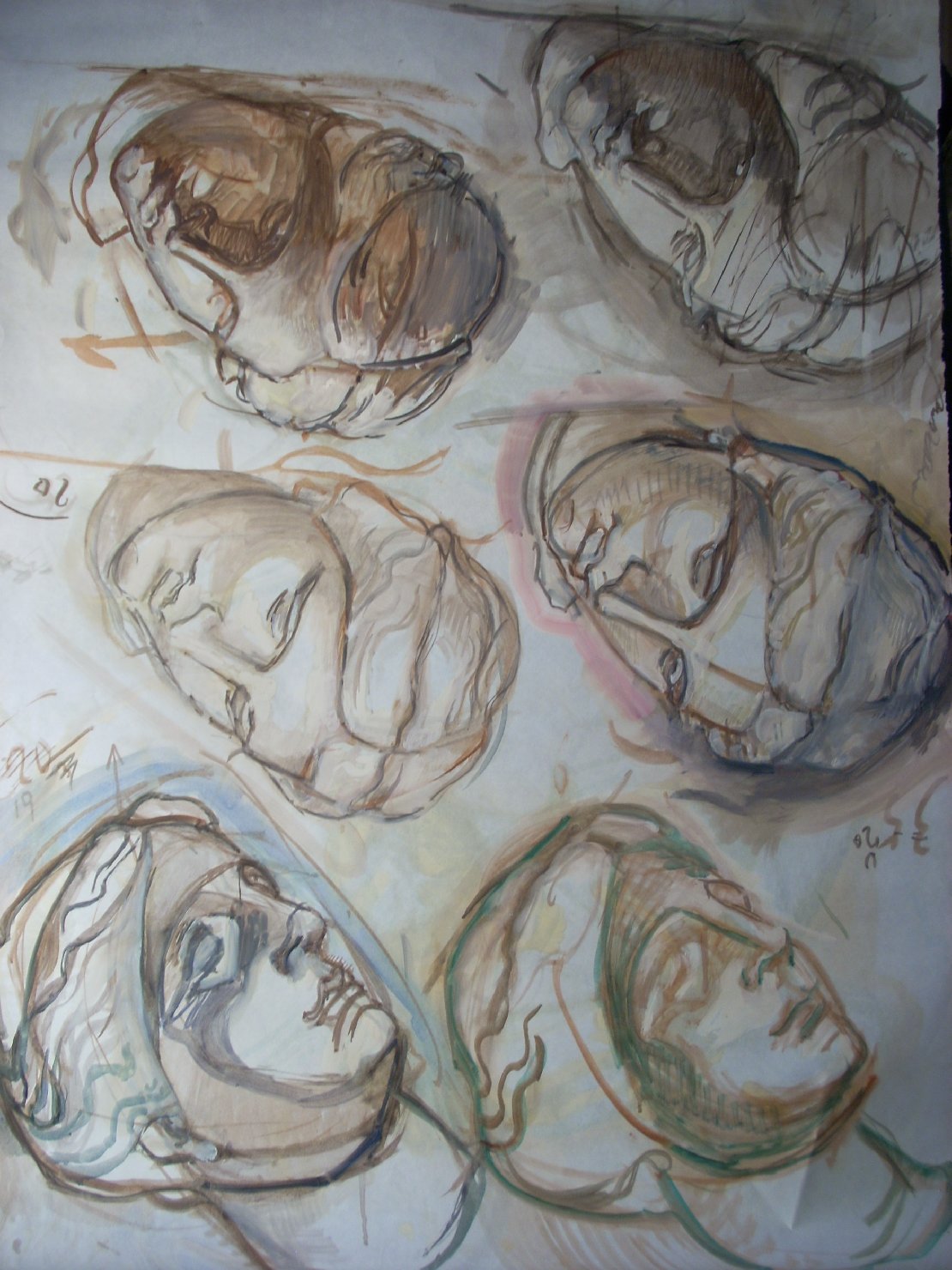 Sei teste in marrone, testa di donna (disegno) di Ciamarra Elena (sec. XX)