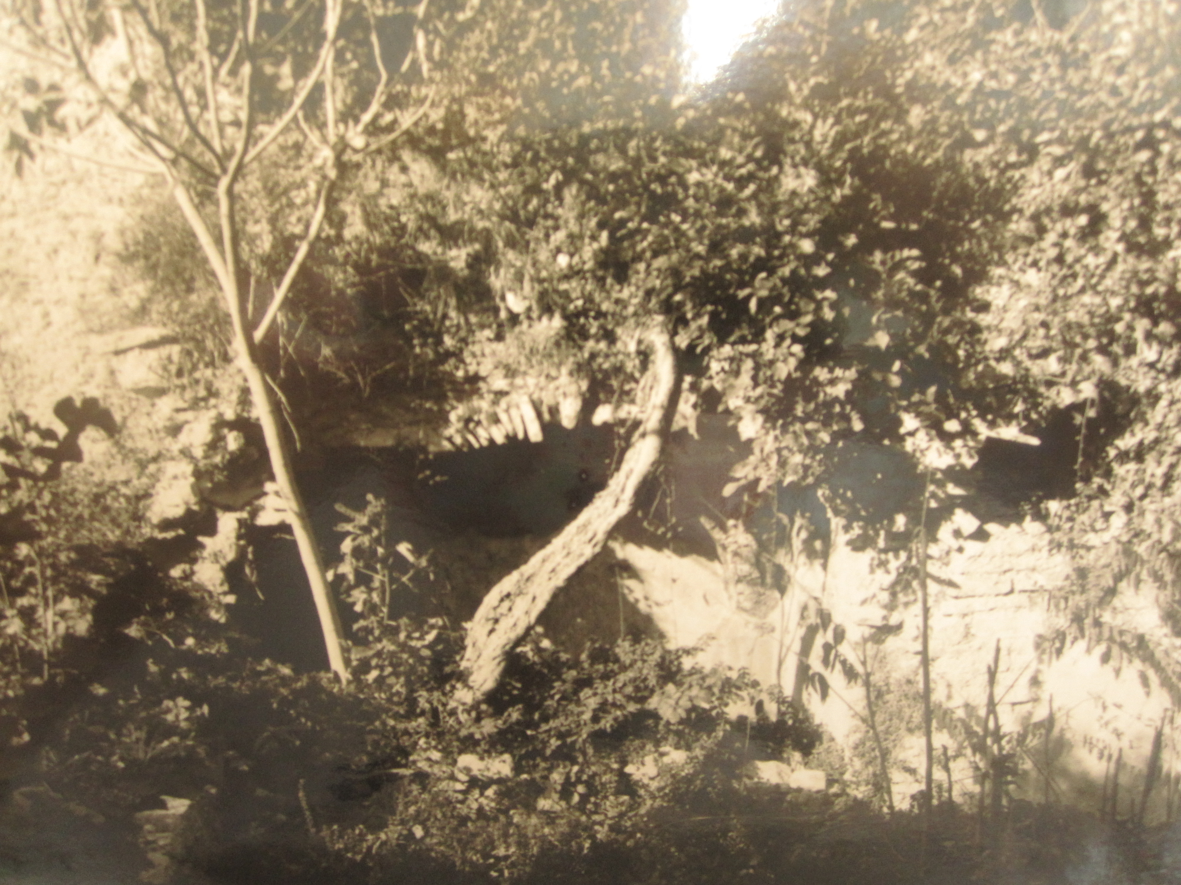 San Nicola (chiesa) - Ferentillo (TR) 