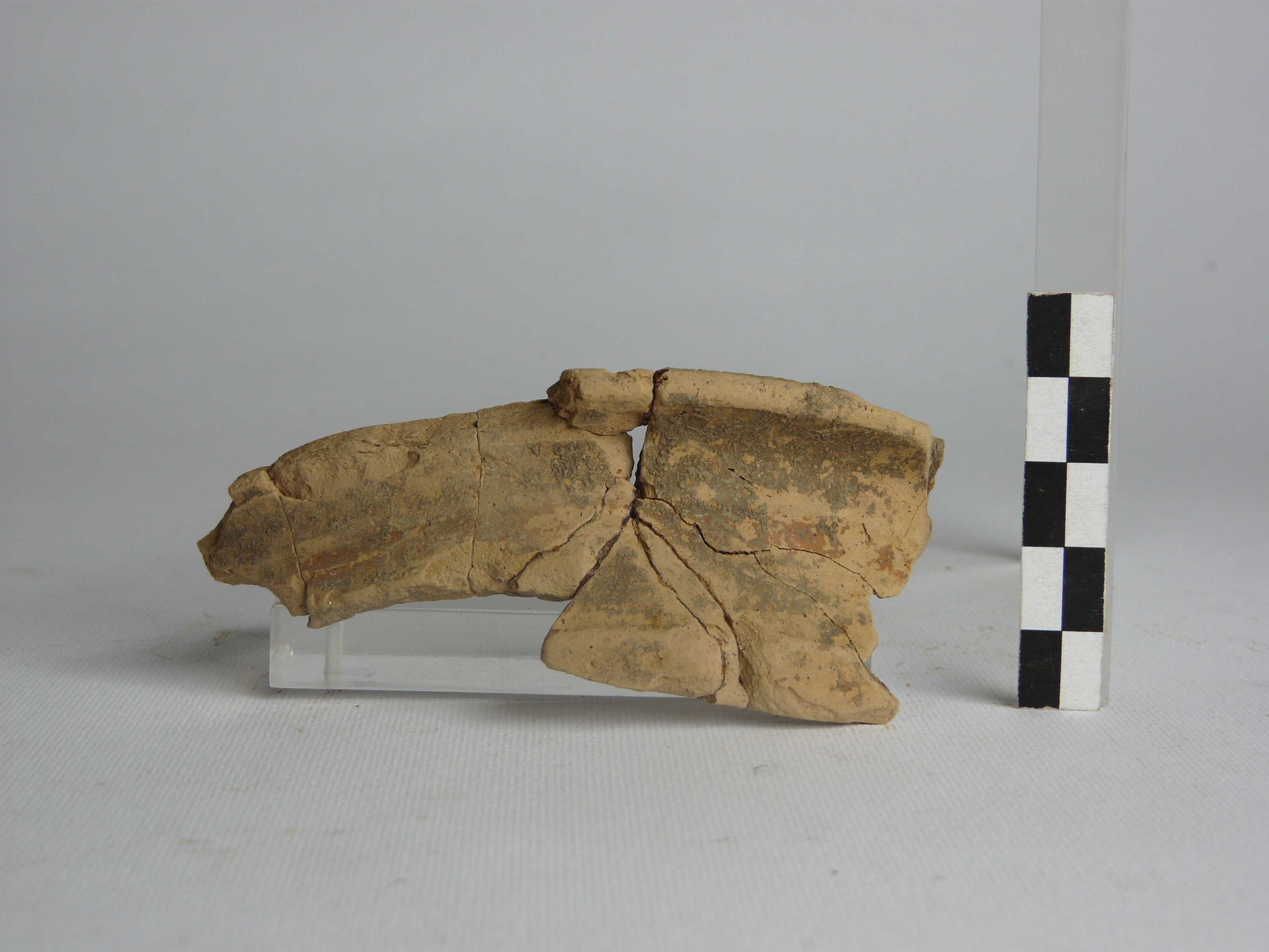 coppa carenata/ labbro (inizio VI a.C)