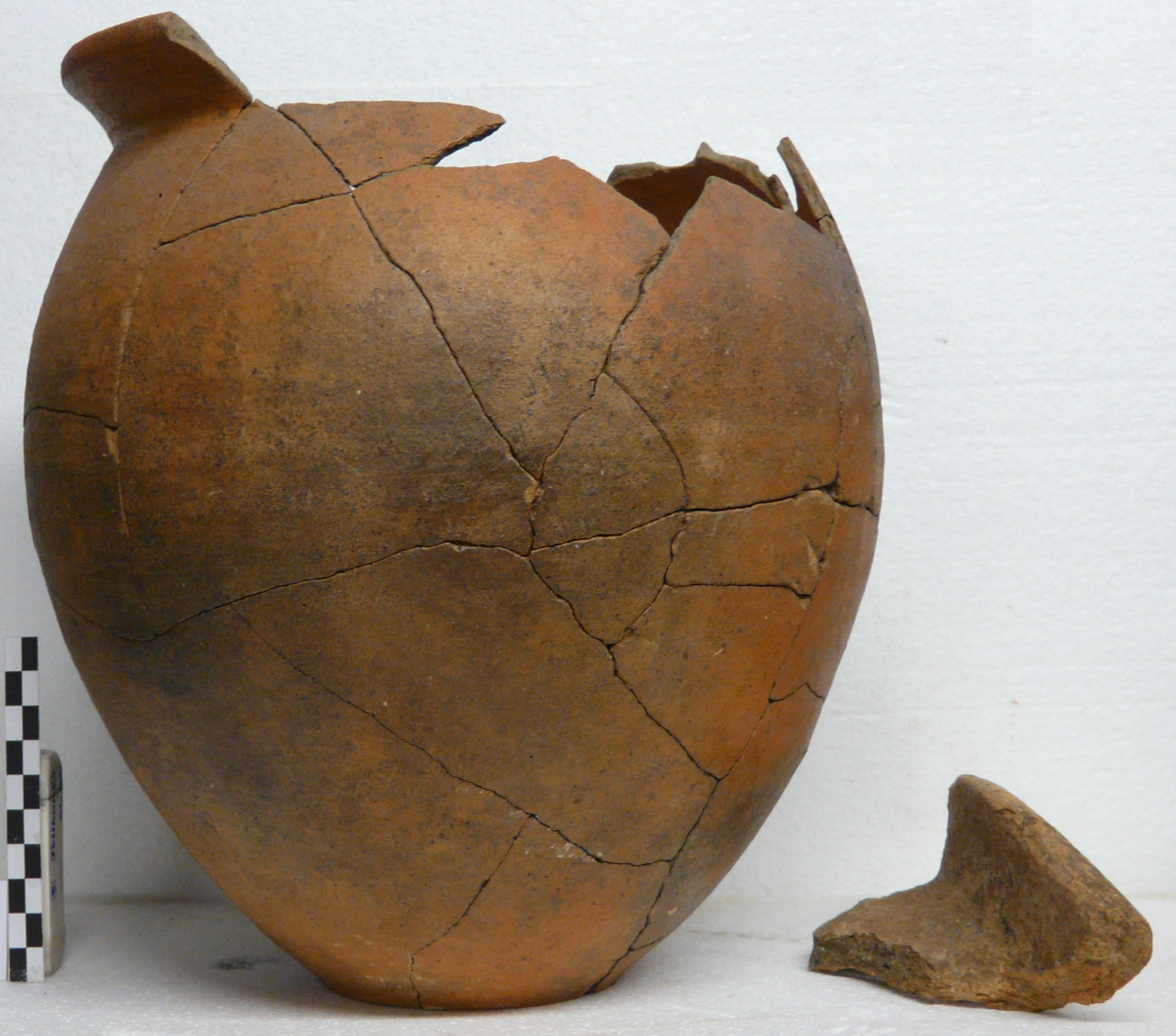 olla a corpo ovoide (VI a.C)