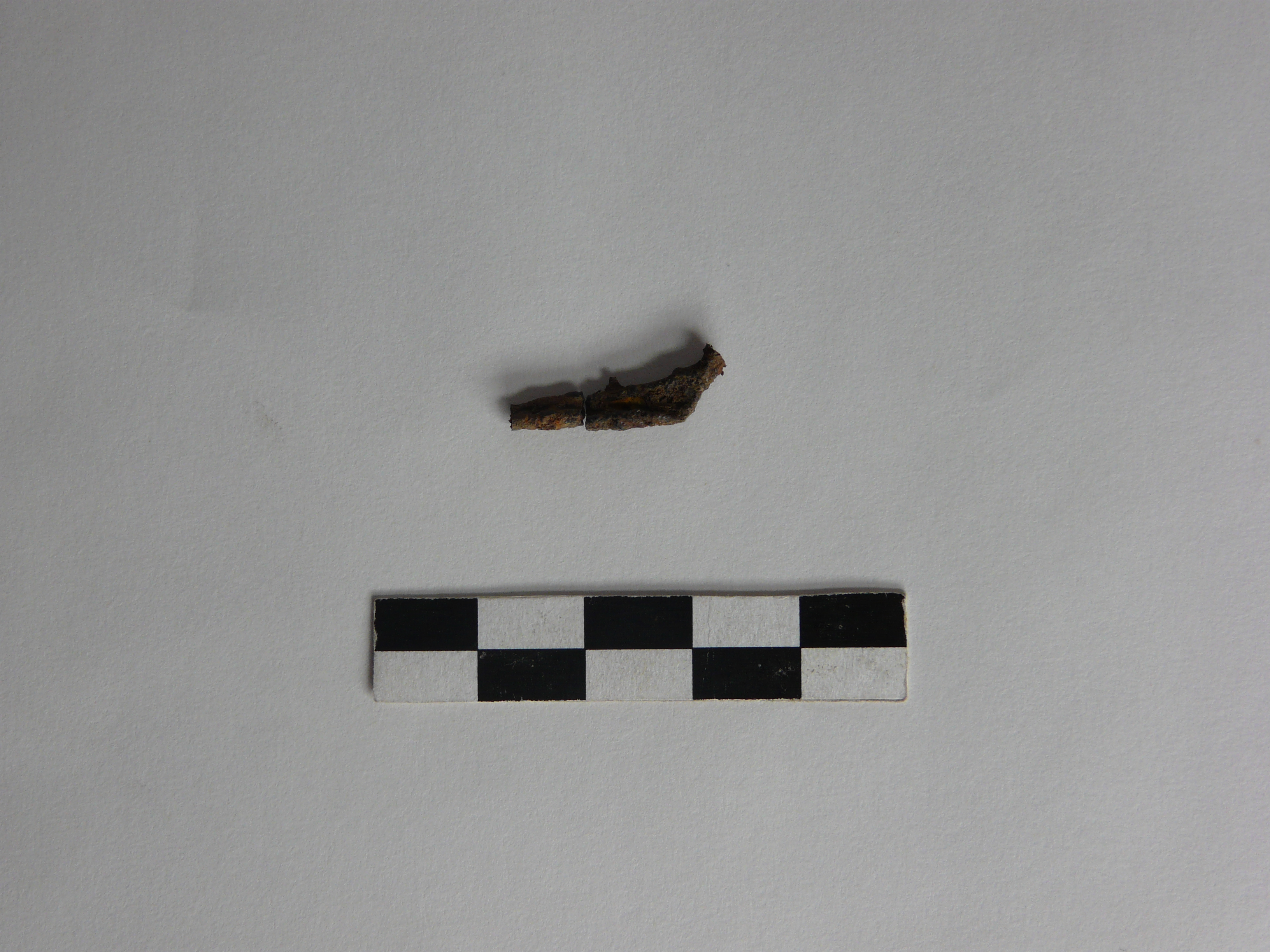 fibula/ frammento (fine VII a.C)