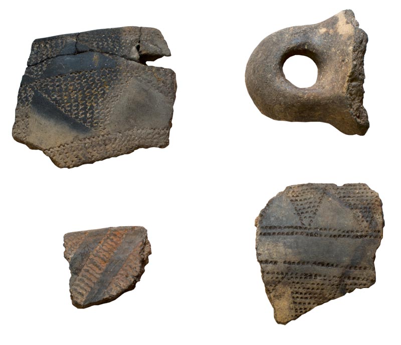 recipiente a forma non identificata/ ansa (inizio/ metà Neolitico)