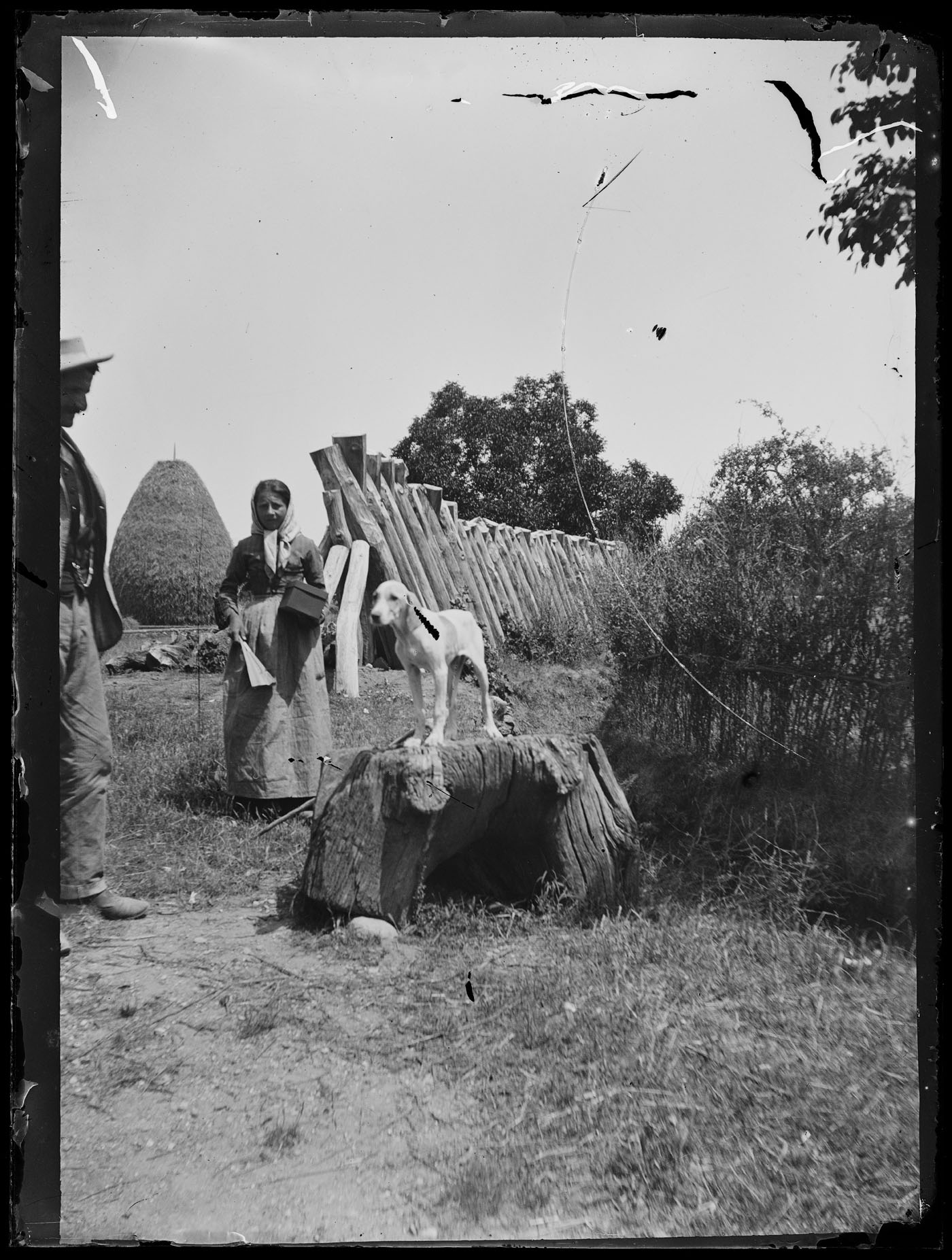 L1702 (negativo) di studio di vetrate artistiche Moretti-Caselli (fine/ inizio XX/ XXI)