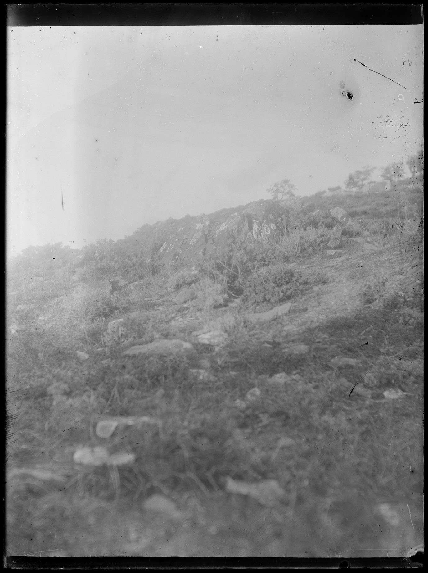 L1709 (negativo) di studio di vetrate artistiche Moretti-Caselli (fine/ inizio XX/ XXI)