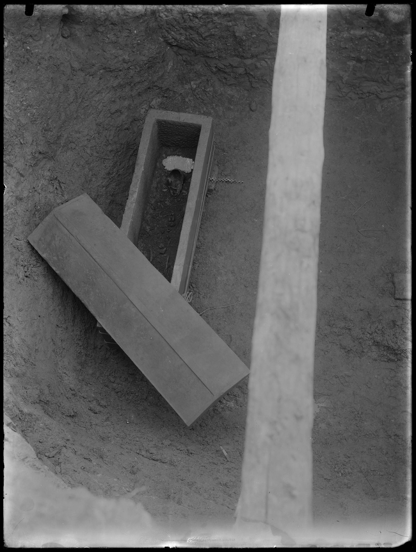 L1584 (negativo) di studio di vetrate artistiche Moretti-Caselli (fine/ inizio XX/ XXI)