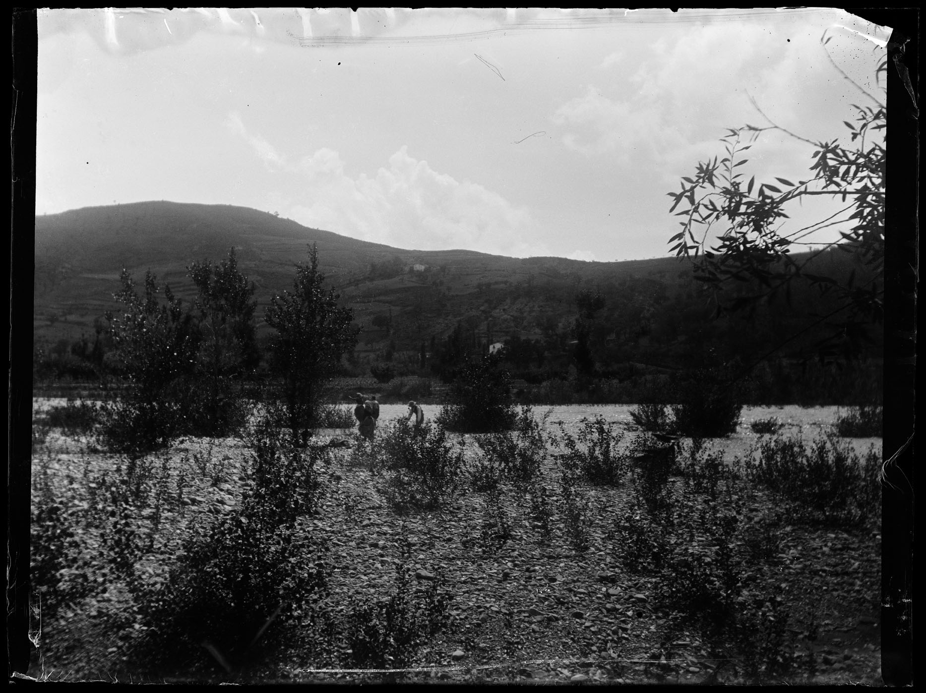 L1753 (negativo) di studio di vetrate artistiche Moretti-Caselli (fine/ inizio XX/ XXI)