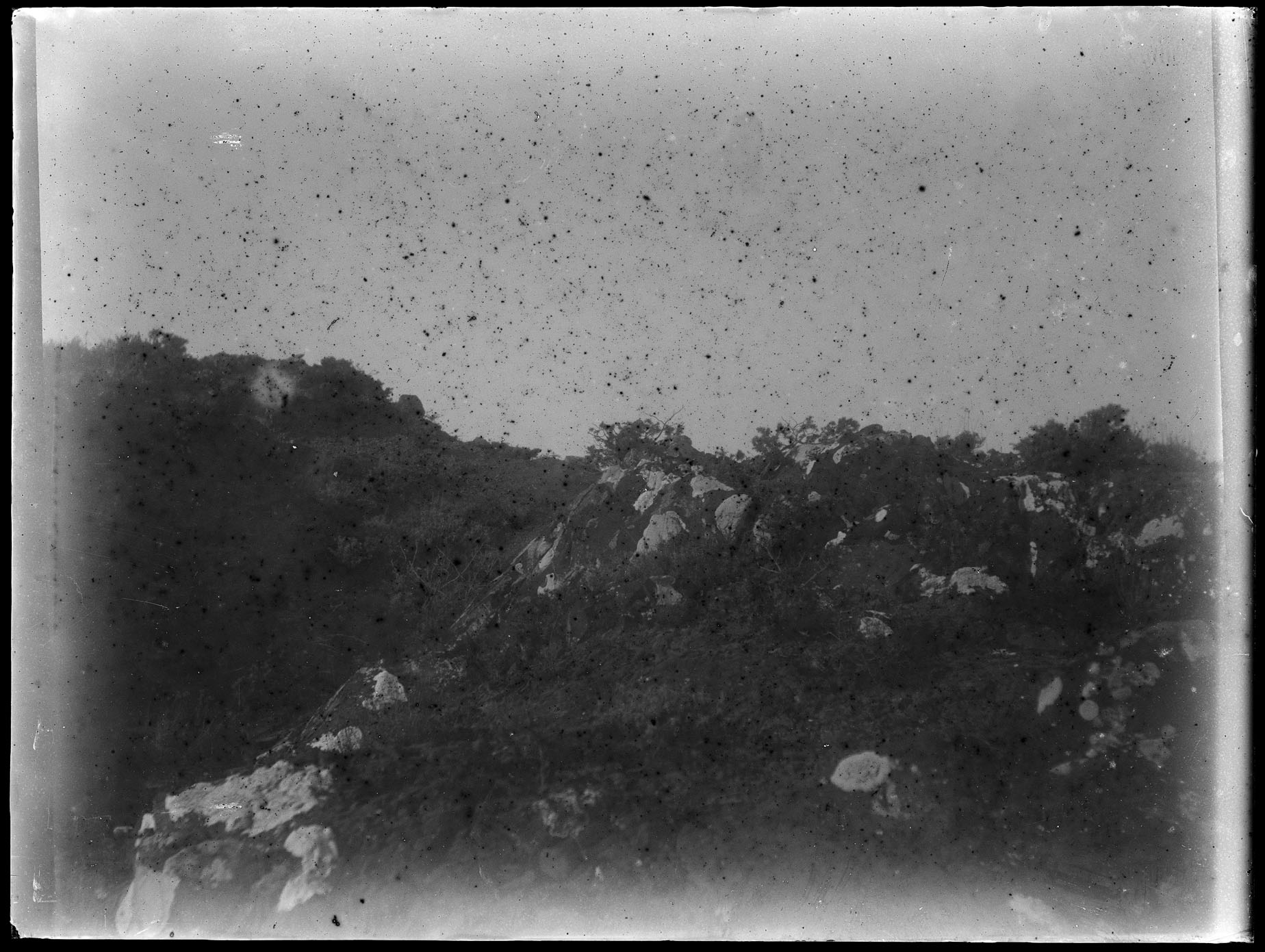 L1755 (negativo) di studio di vetrate artistiche Moretti-Caselli (fine/ inizio XX/ XXI)