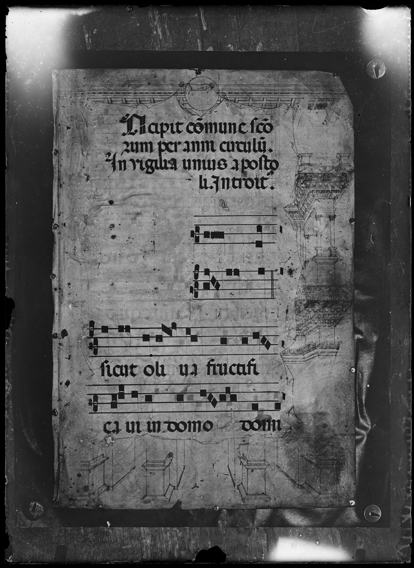 L1772 (negativo) di studio di vetrate artistiche Moretti-Caselli (fine/ inizio XX/ XXI)