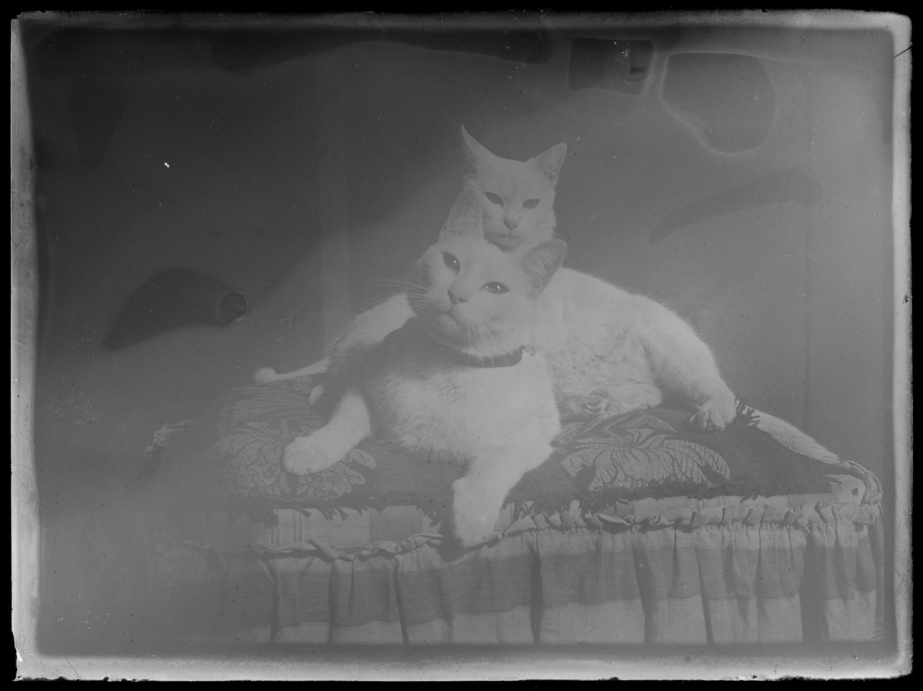 L1934 (negativo) di studio di vetrate artistiche Moretti-Caselli (fine/ inizio XX/ XXI)