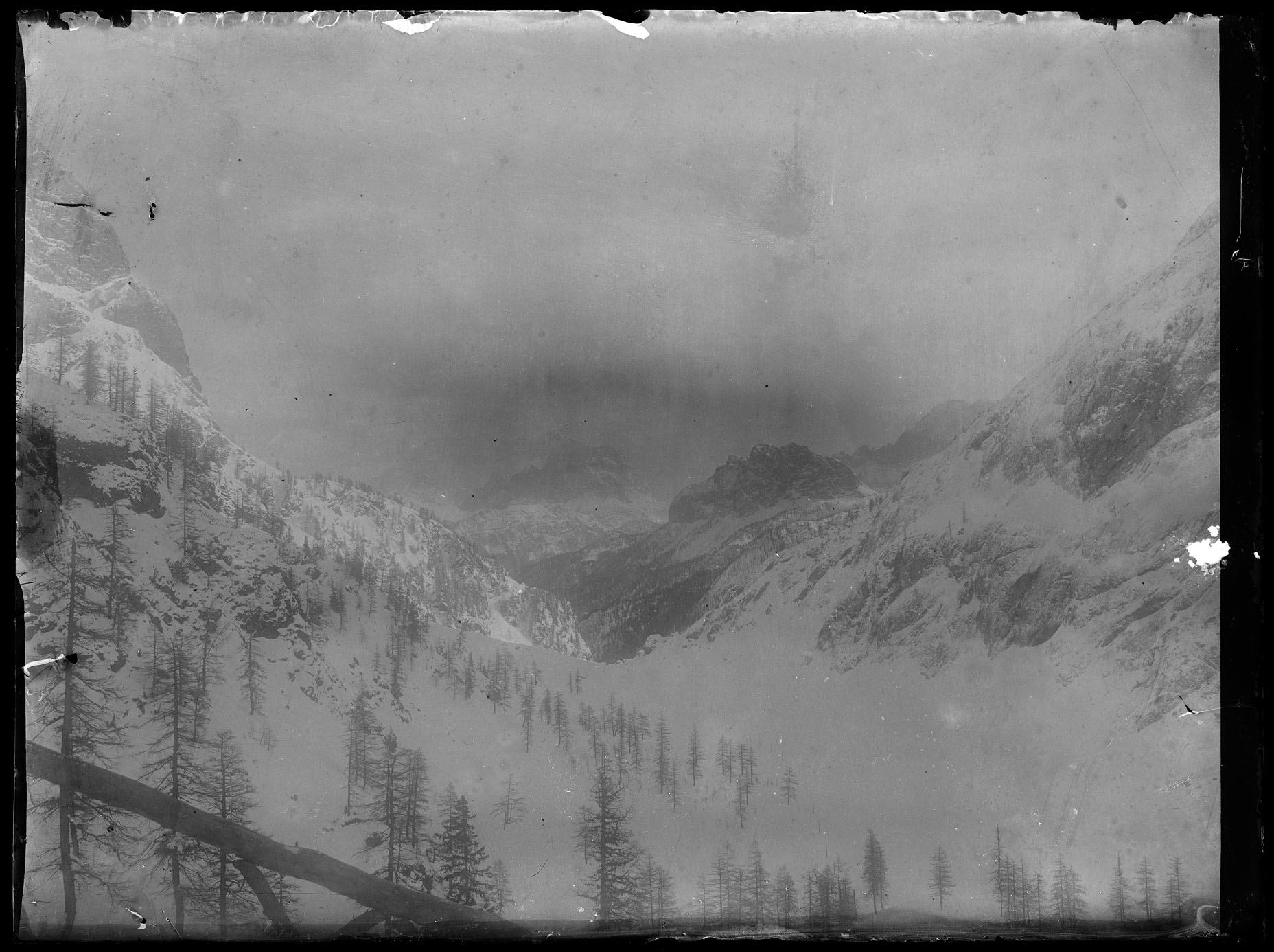 L1832 (negativo) di studio di vetrate artistiche Moretti-Caselli (fine/ inizio XX/ XXI)