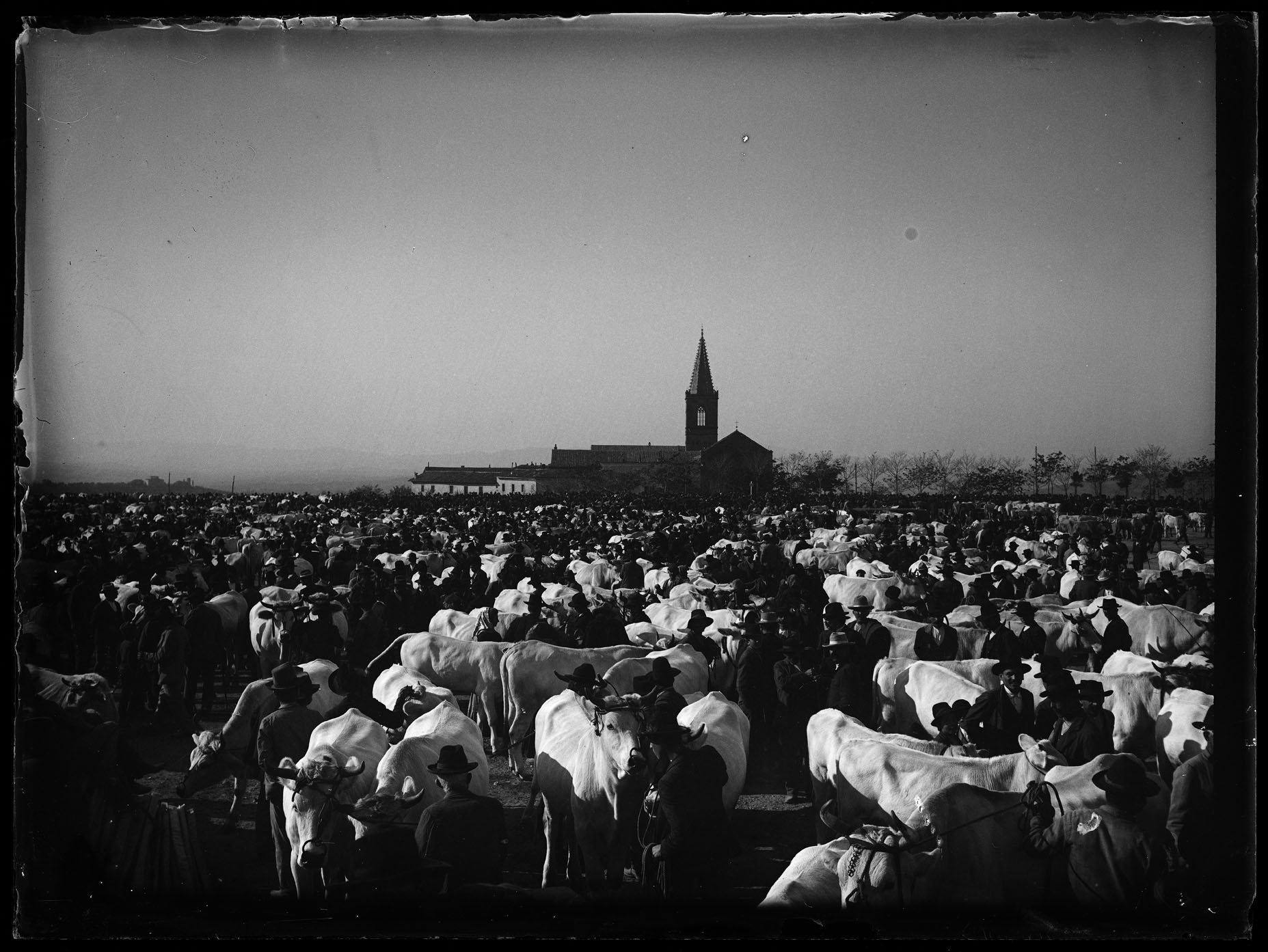 L1853 (negativo) di studio di vetrate artistiche Moretti-Caselli (fine/ inizio XX/ XXI)