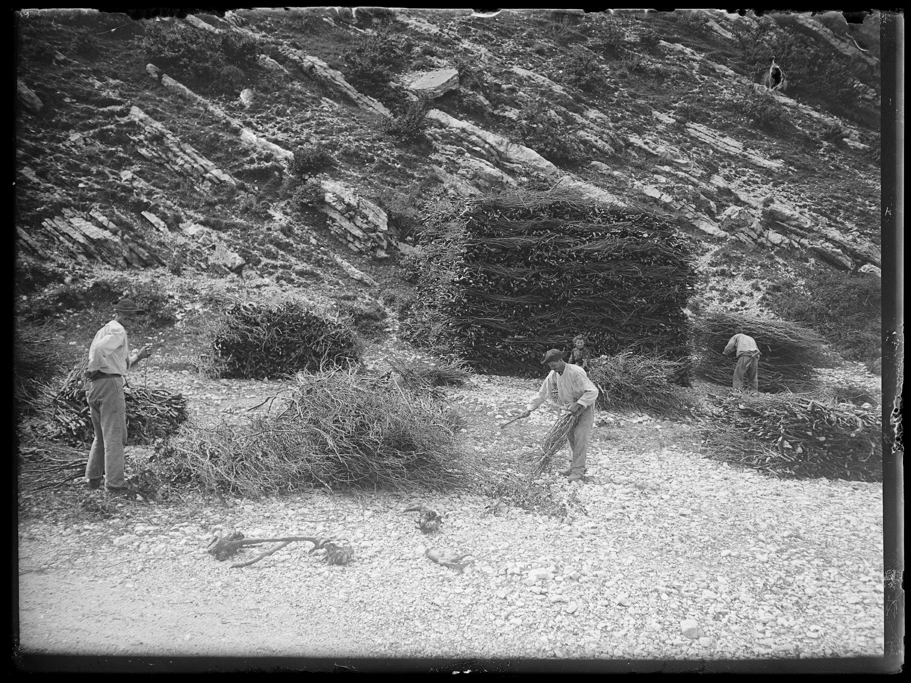 L2010 (negativo) di studio di vetrate artistiche Moretti-Caselli (fine/ inizio XX/ XXI)