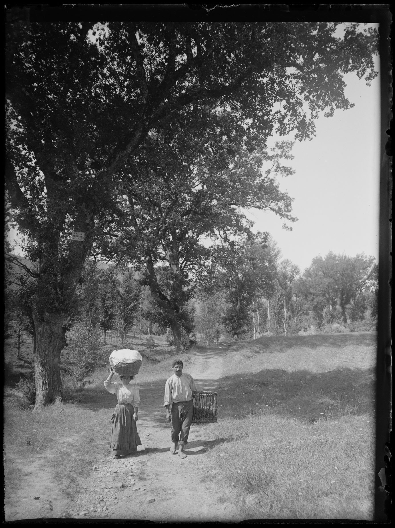 L2002 (negativo) di studio di vetrate artistiche Moretti-Caselli (fine/ inizio XX/ XXI)