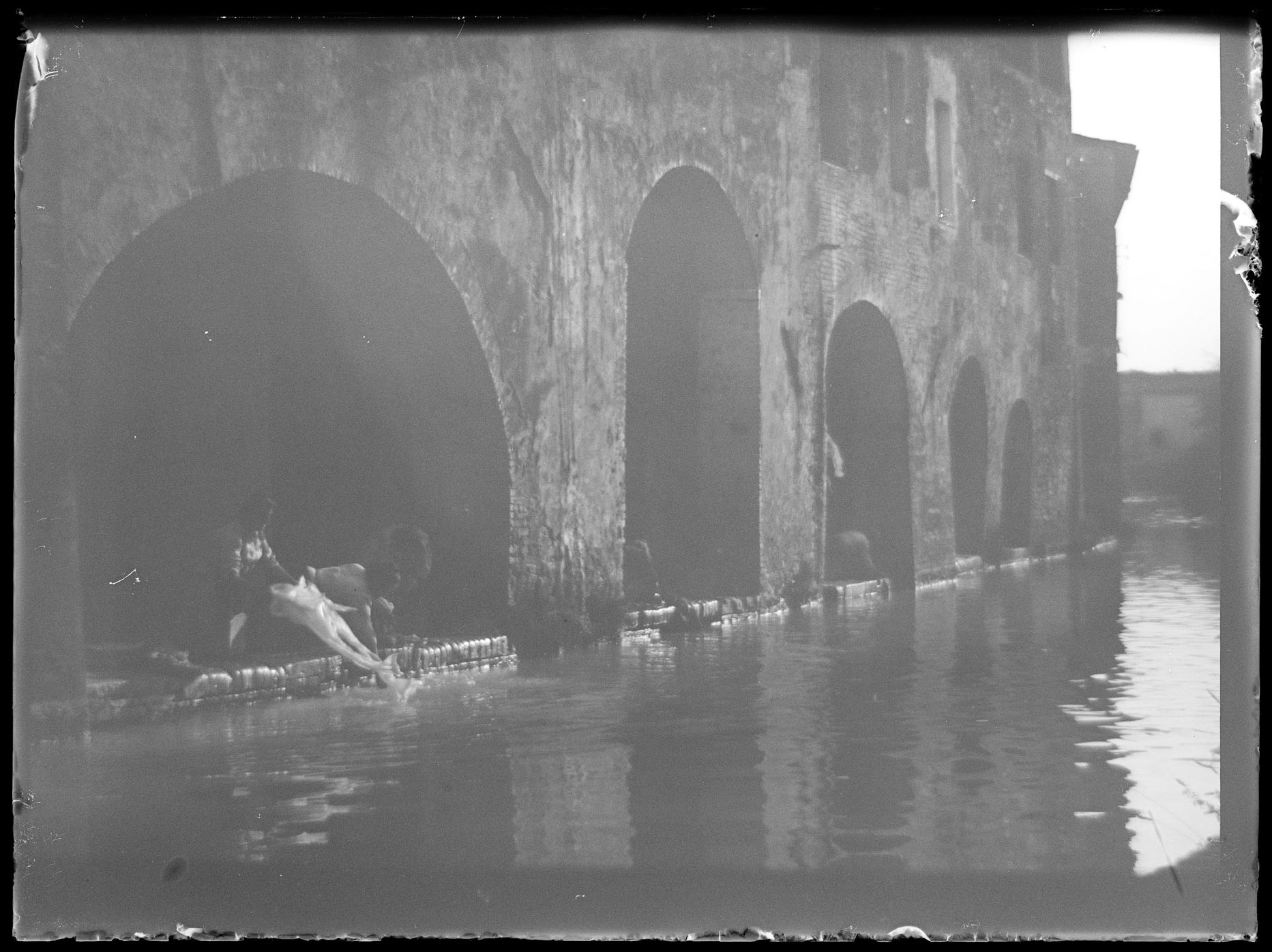 L2018 (negativo) di studio di vetrate artistiche Moretti-Caselli (fine/ inizio XX/ XXI)