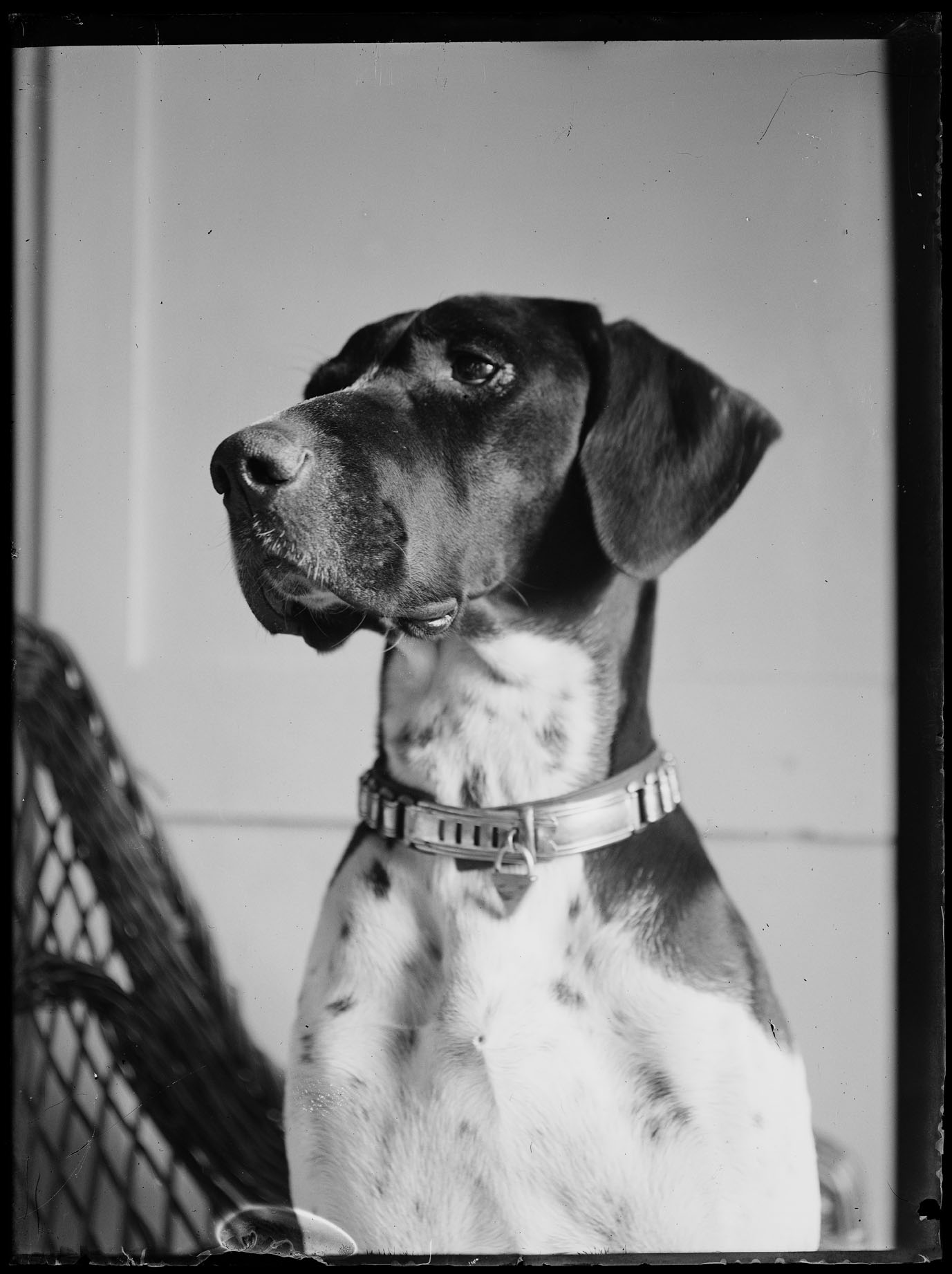 L1927 (negativo) di studio di vetrate artistiche Moretti-Caselli (fine/ inizio XX/ XXI)