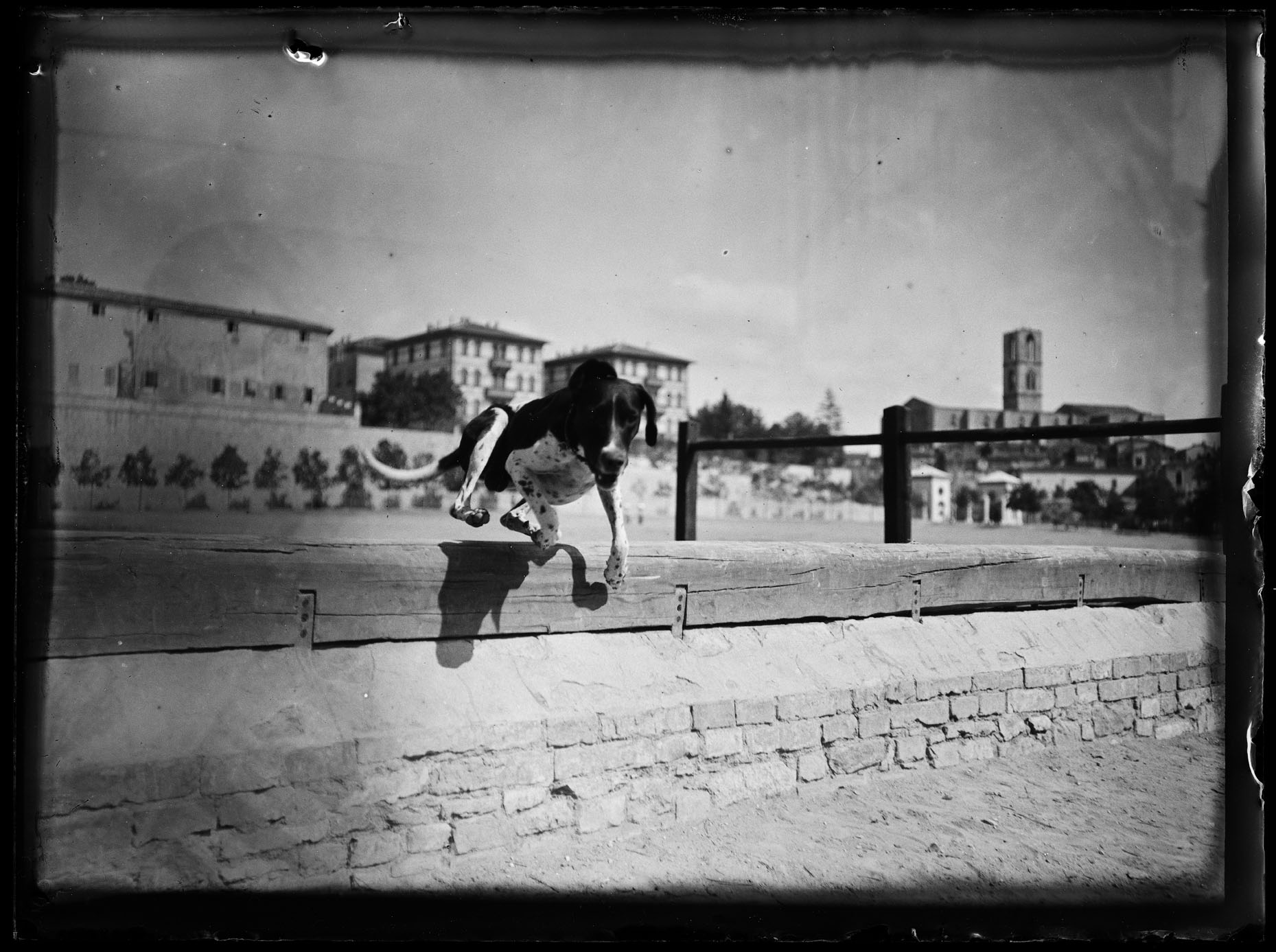 L1929 (negativo) di studio di vetrate artistiche Moretti-Caselli (fine/ inizio XX/ XXI)