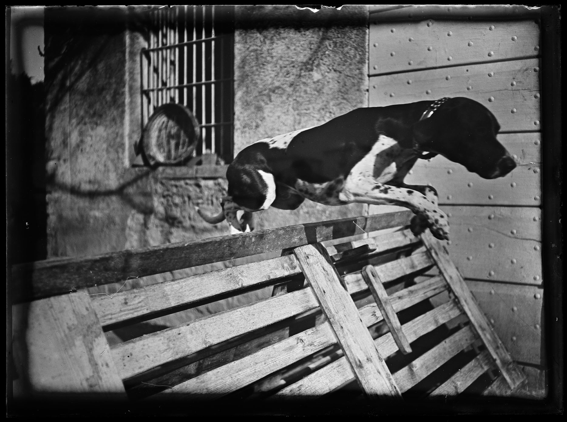 L1930 (negativo) di studio di vetrate artistiche Moretti-Caselli (fine/ inizio XX/ XXI)