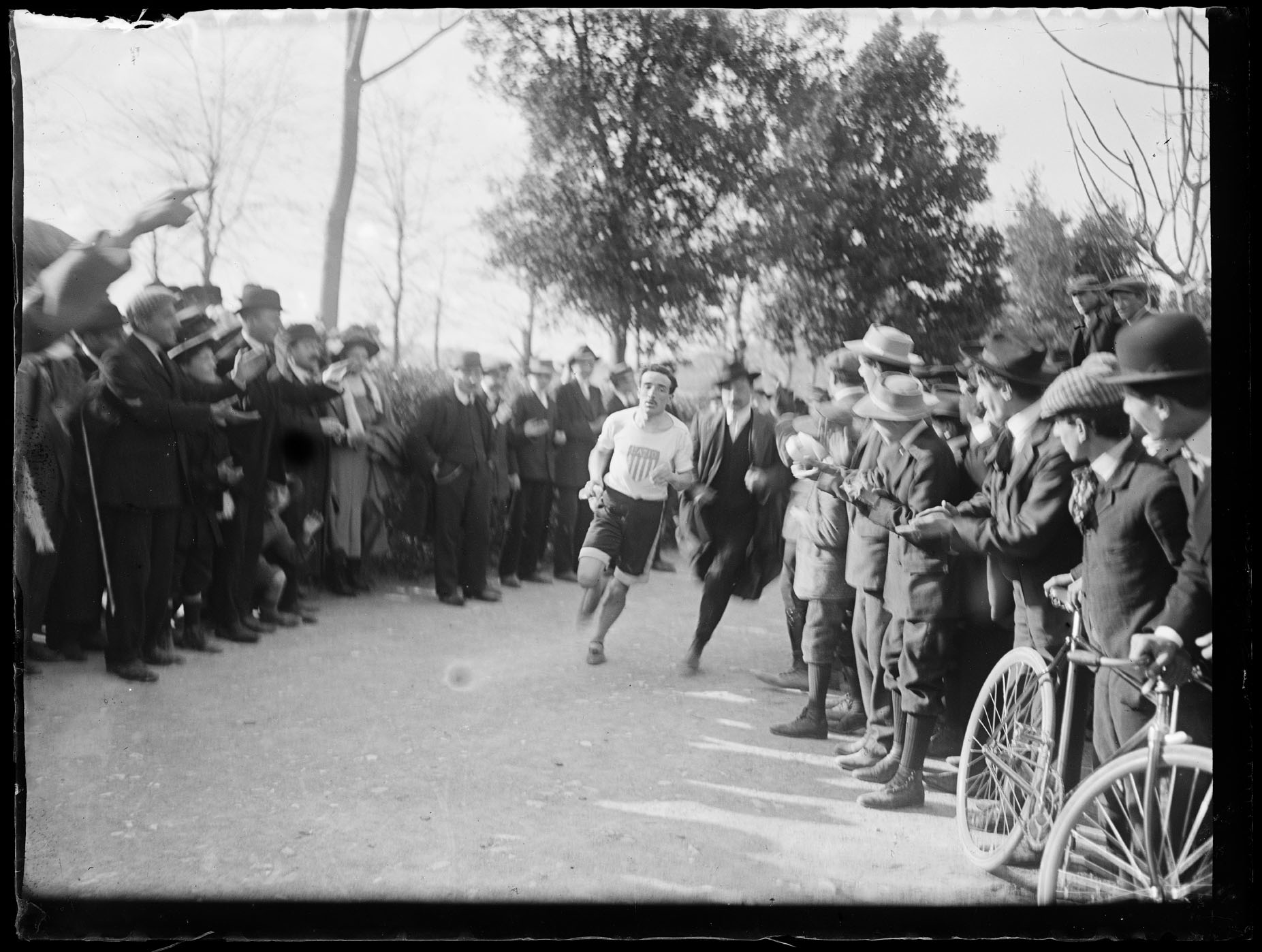 L1798 (negativo) di studio di vetrate artistiche Moretti-Caselli (fine/ inizio XX/ XXI)