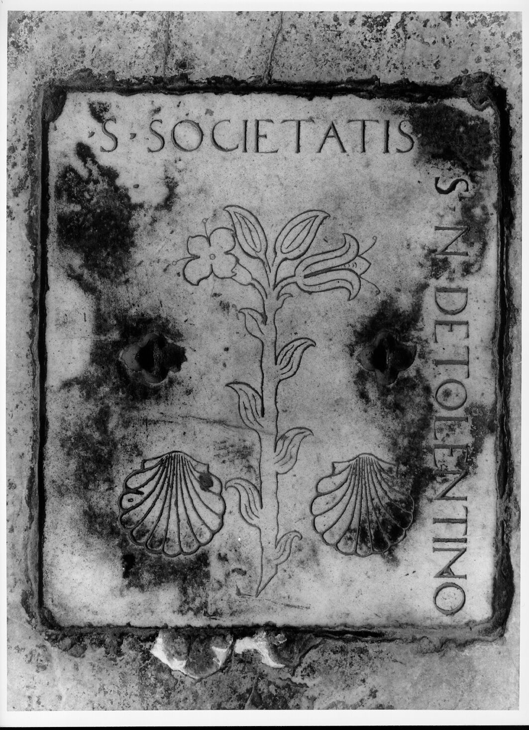 Confraternita di San Nicola da Tolentino (lastra tombale) - bottega pisana (secc. XV/ XVI)