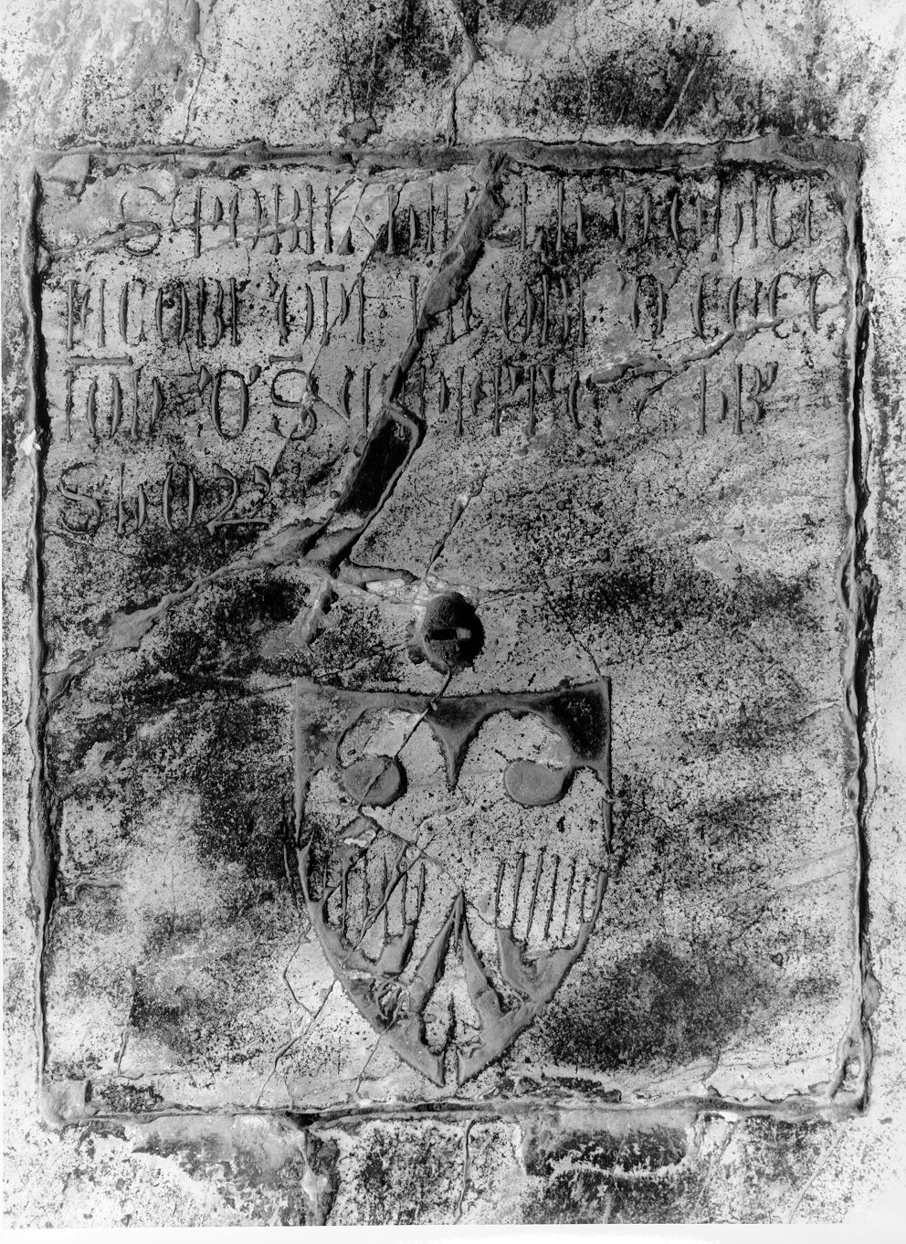Ludovico di Giacomo di Cecco da San Miniato (lastra tombale) - bottega pisana (sec. XV)