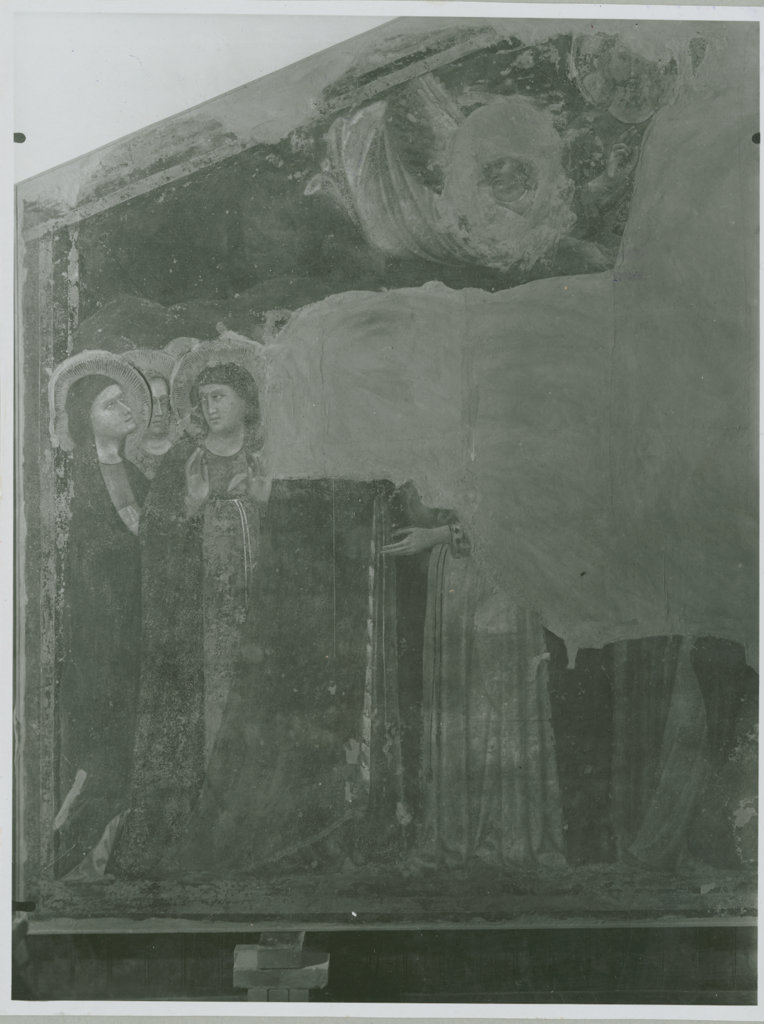 Storie della vita di San Francesco - Pitture murali (positivo) di Francesco da Rimini, Podio, Enrico (XX)