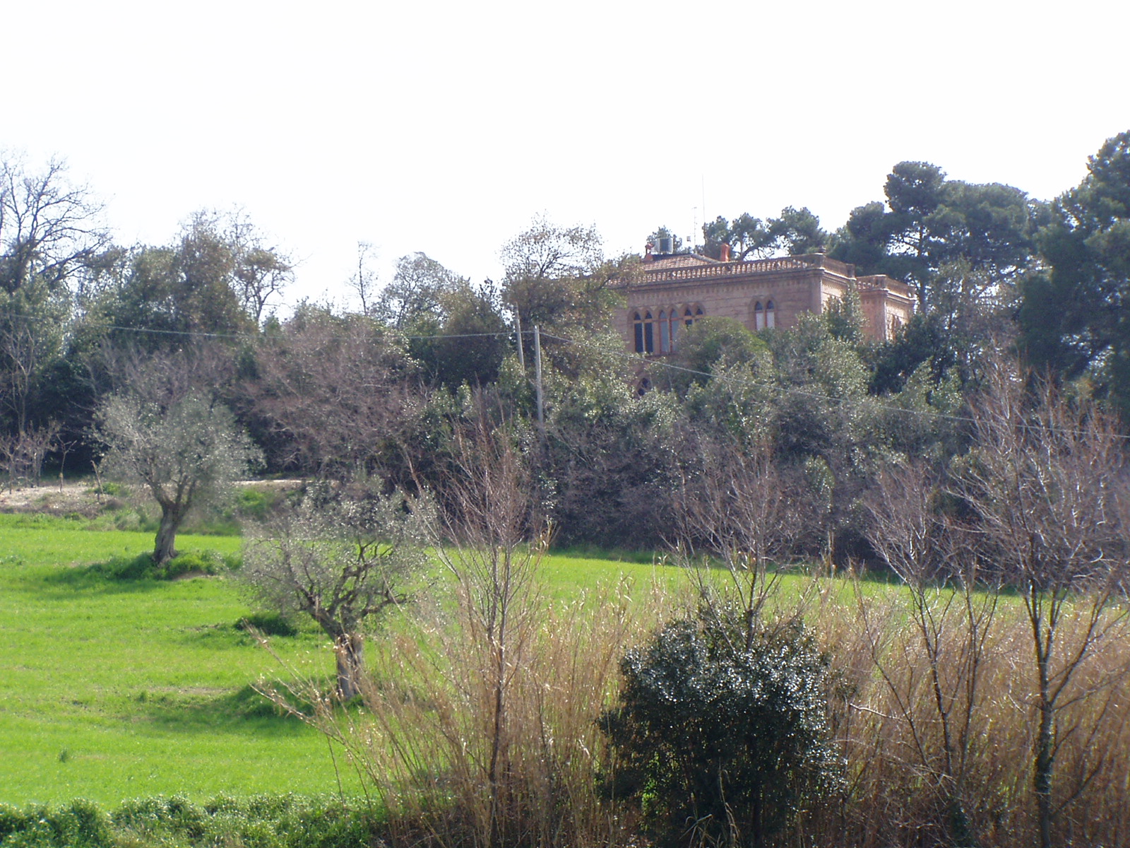 Villa Pallucchini (villa extraurbana, nobiliare) - Falconara Marittima (AN) 