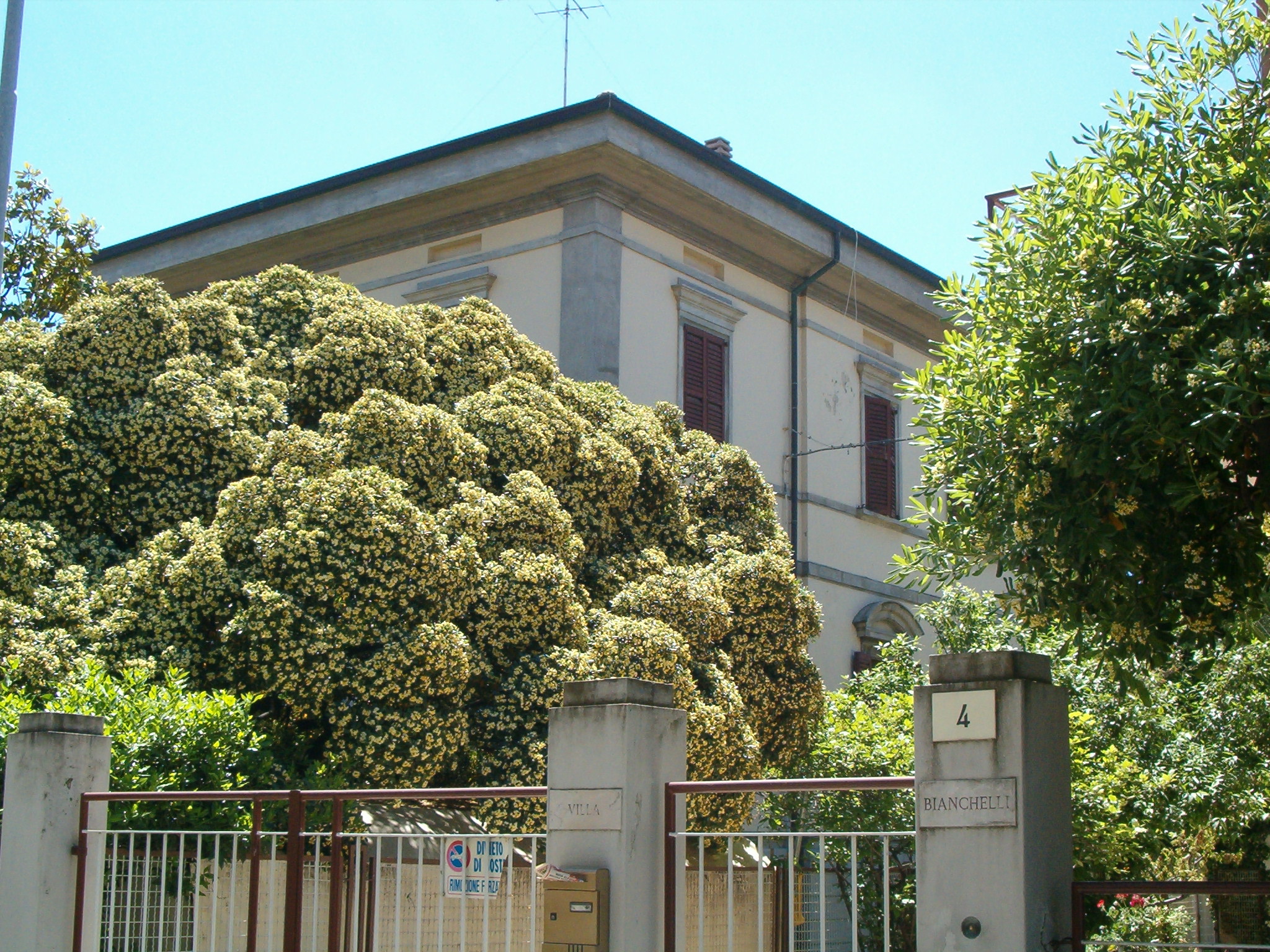 Villa Bianchelli (villa urbana, signorile) - Senigallia (AN) 