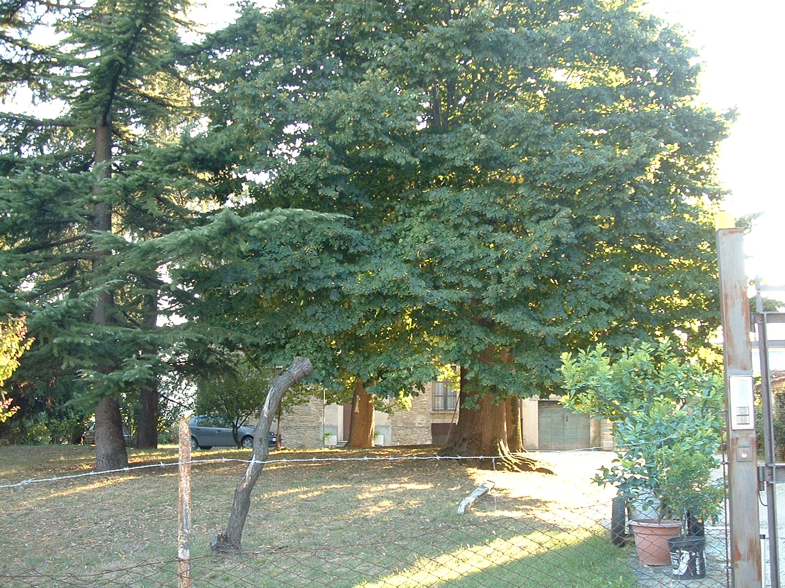 Villa Luminari (villa extraurbana, signorile) - Rosora (AN) 