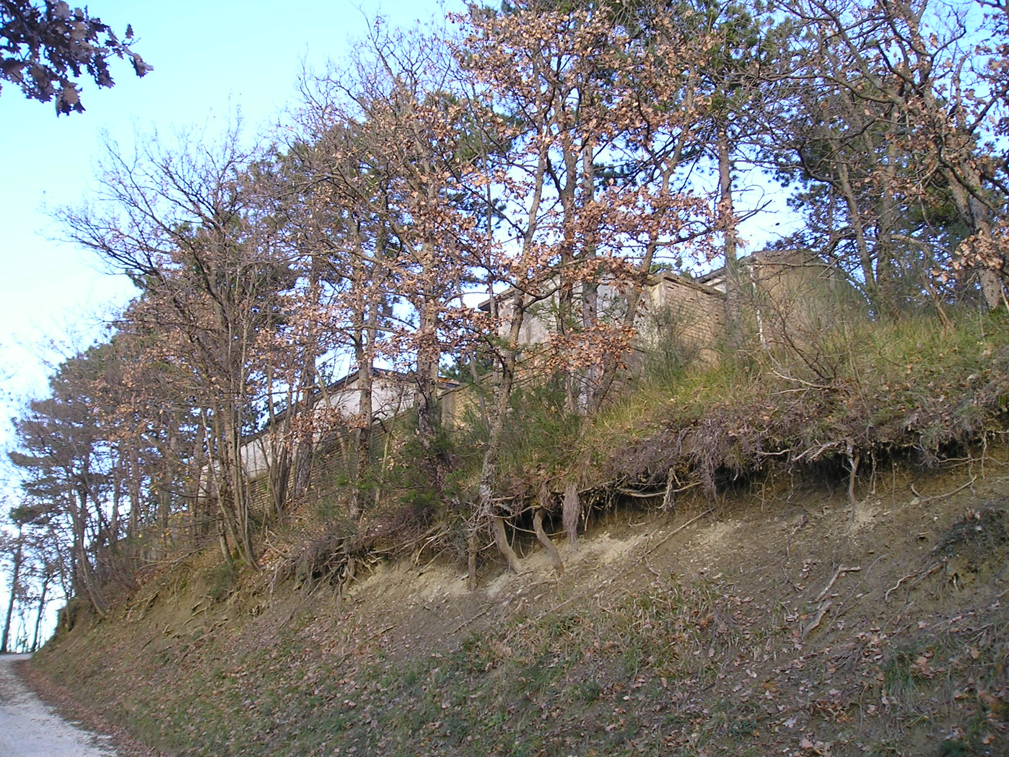 Cimitero di S. Giovanni in Pozzuolo (cimitero, comunale) - Urbino (PU) 
