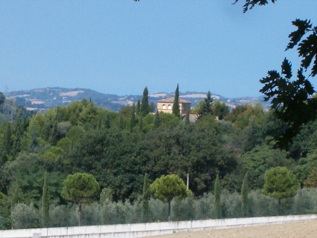 Villa Colombaraccia (villa urbana, signorile) - Pesaro (PU) 