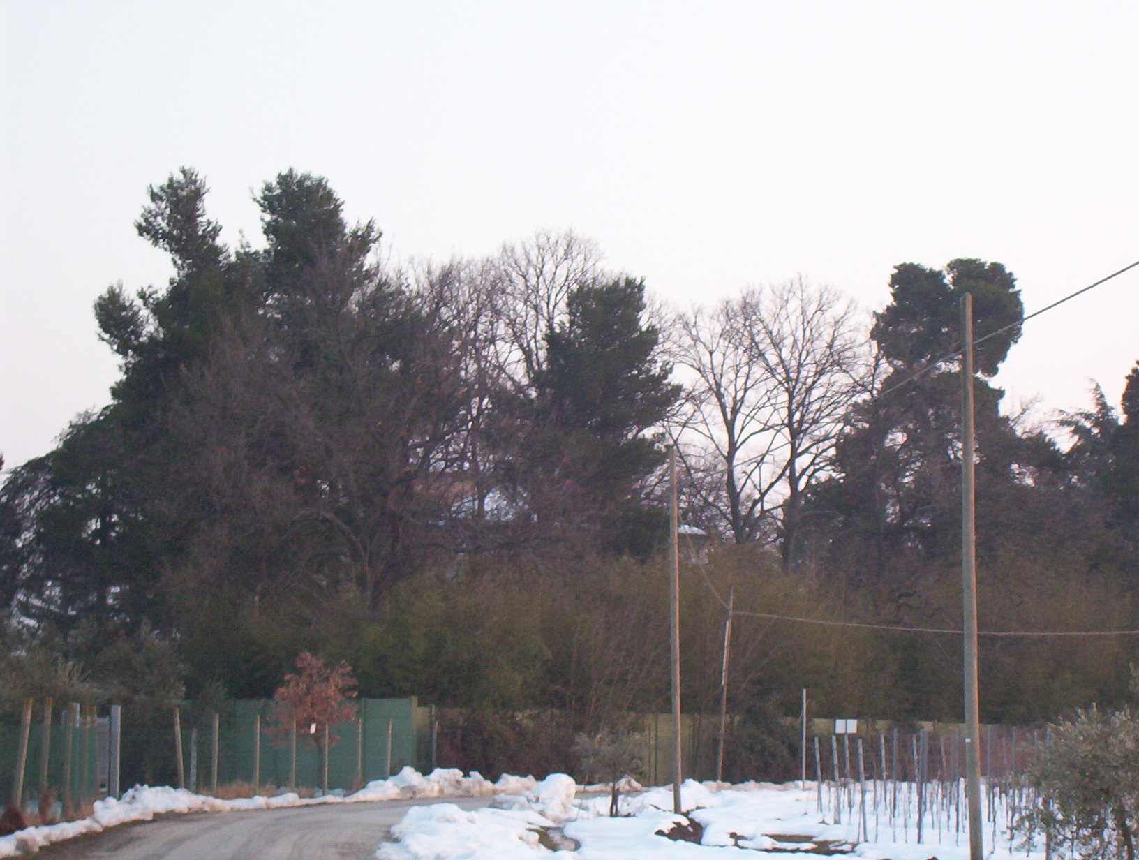 Villa Colle Mode (villa extraurbana) - Jesi (AN) 