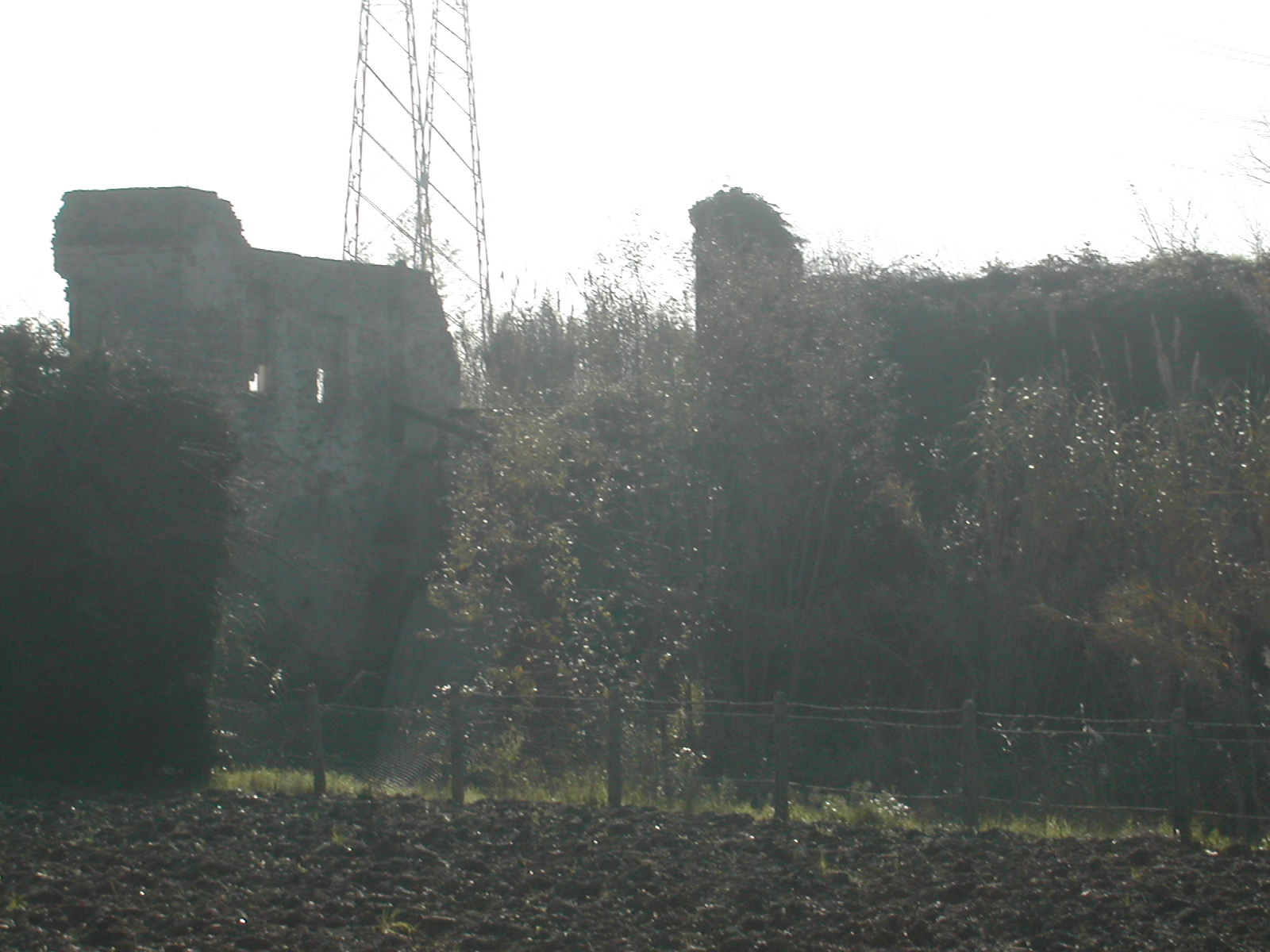 Rovine del Mulino Americano (mulino ad acqua) - Camerata Picena (AN) 