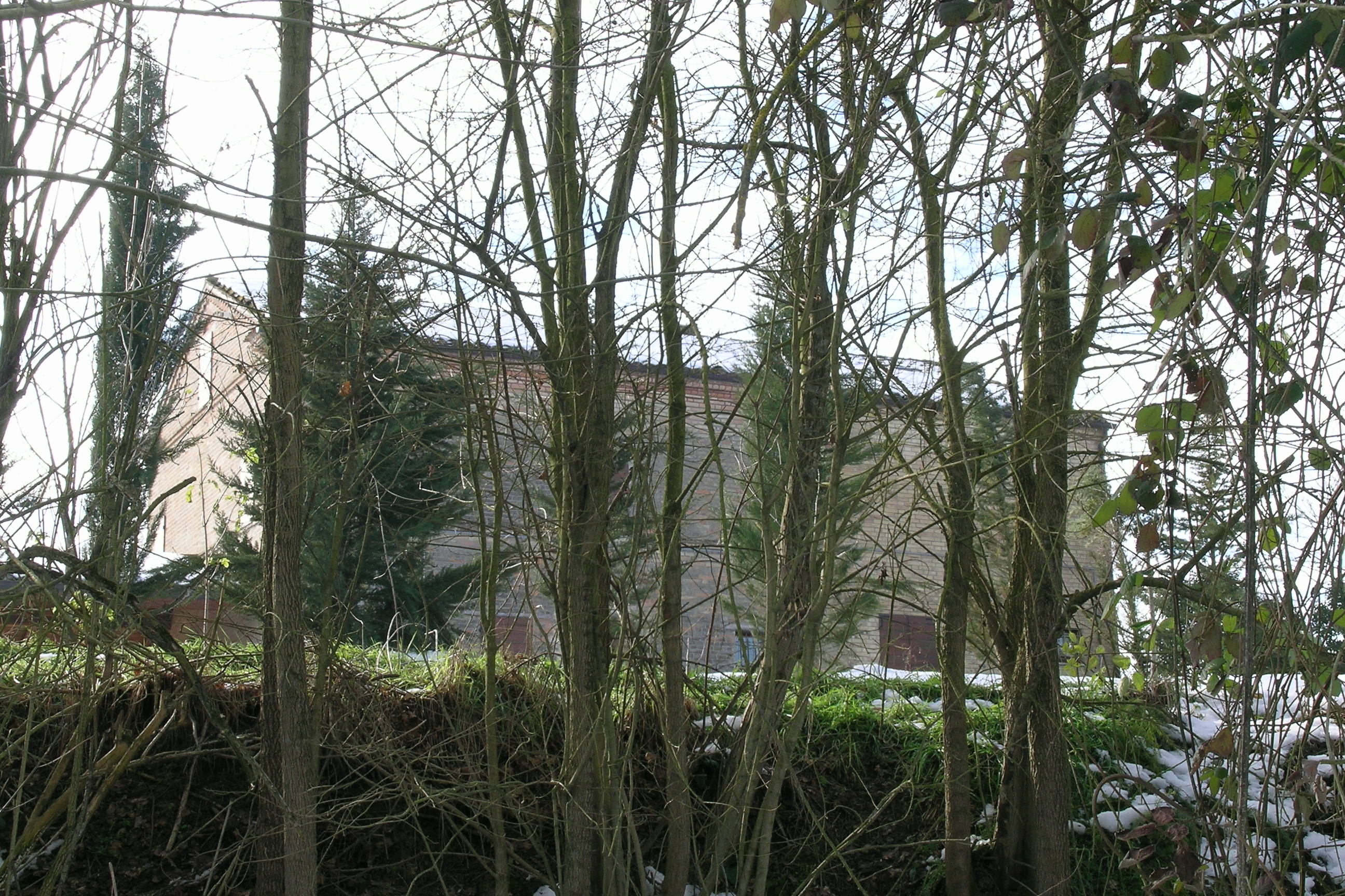 Casa colonica (casa colonica) - Monte San Pietrangeli (AP) 