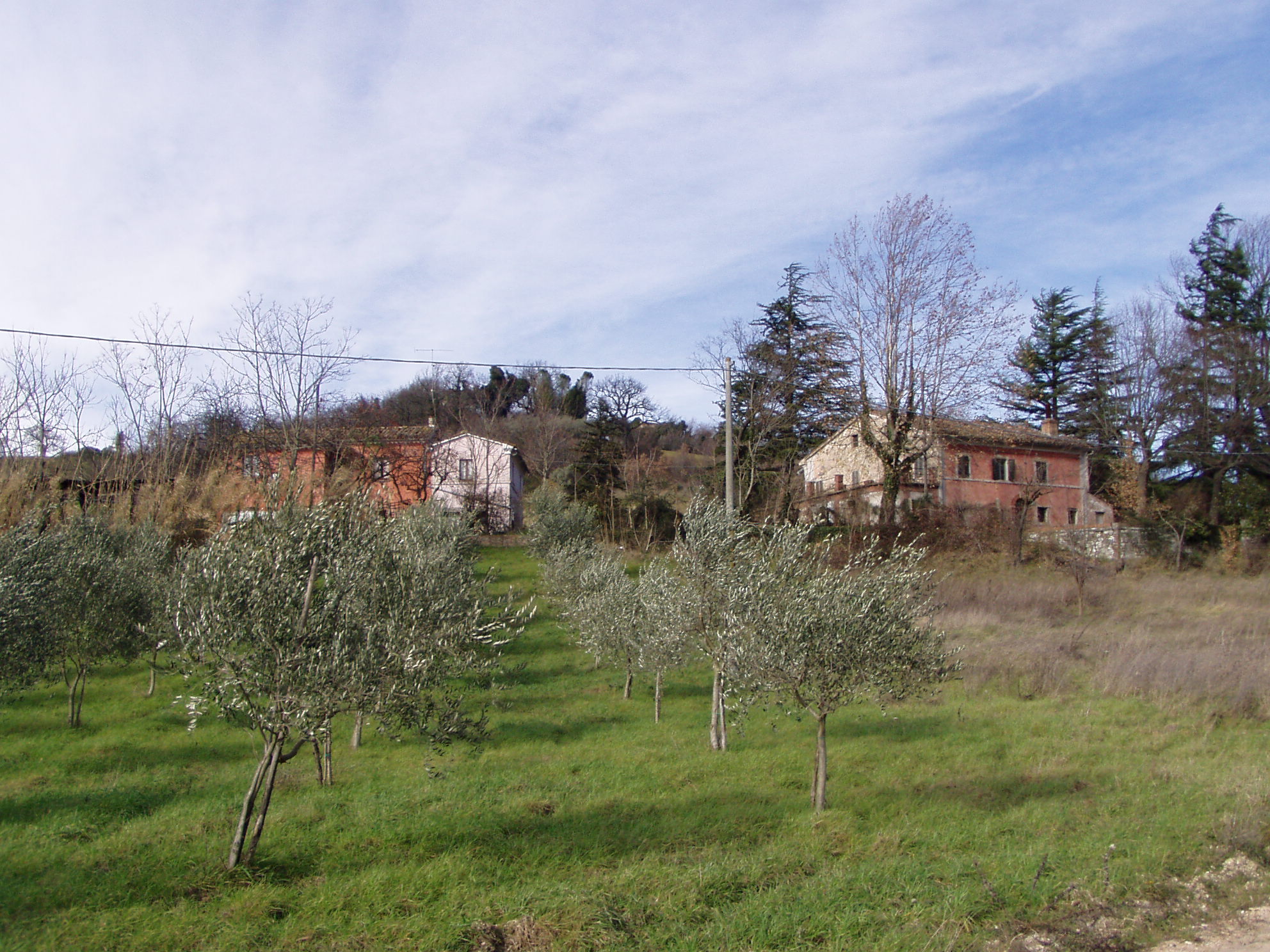 Villa Farroni (villa extraurbana, nobiliare) - Belforte del Chienti (MC) 