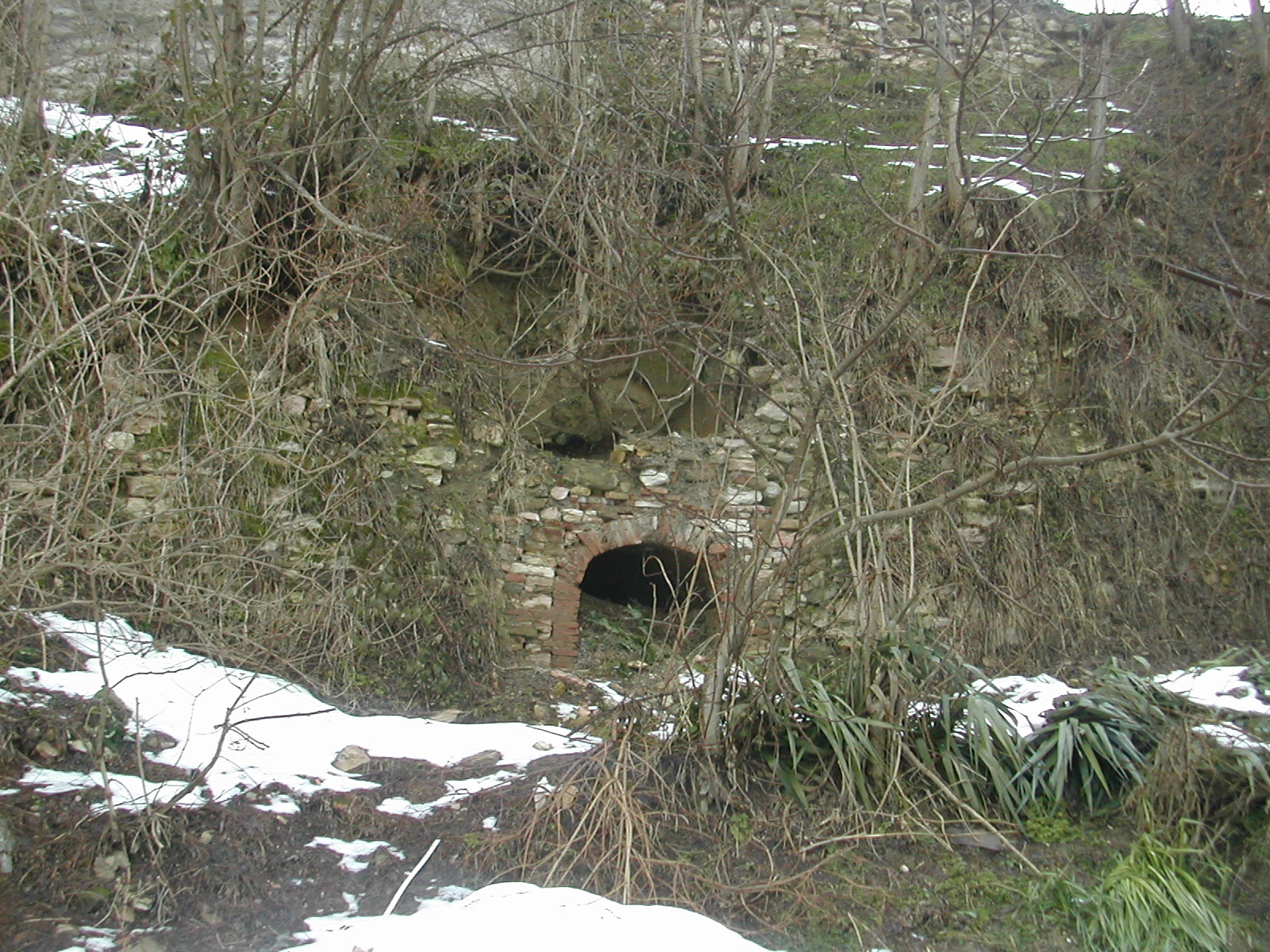 Tracce di mura castellane (mura, castellane) - Sassoferrato (AN) 