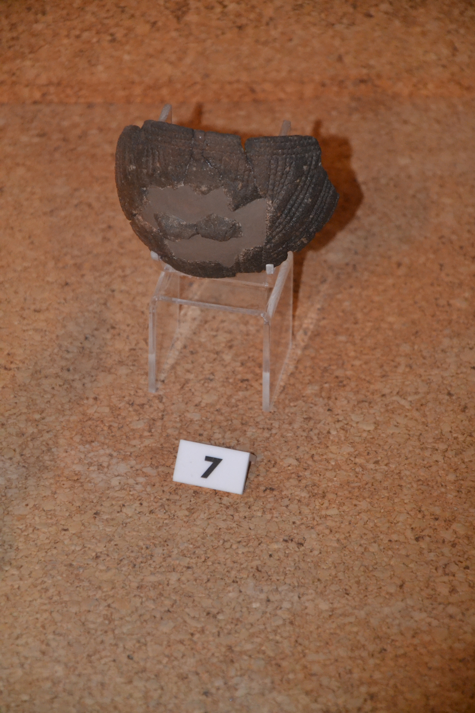 materiale di collezione museale (ceramica) (Neolitico antico)