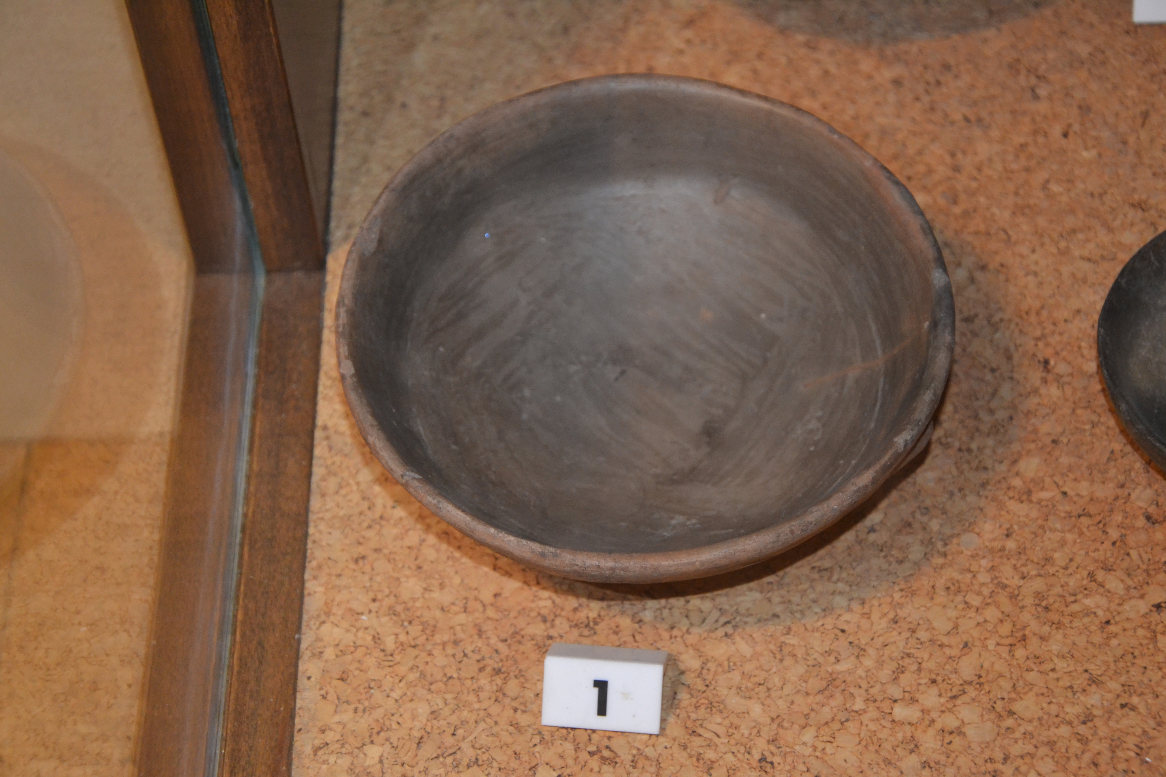 materiale di collezione museale (ceramica/ metallo/ reperti malacologici) (Età recente del bronzo/ Età del ferro)
