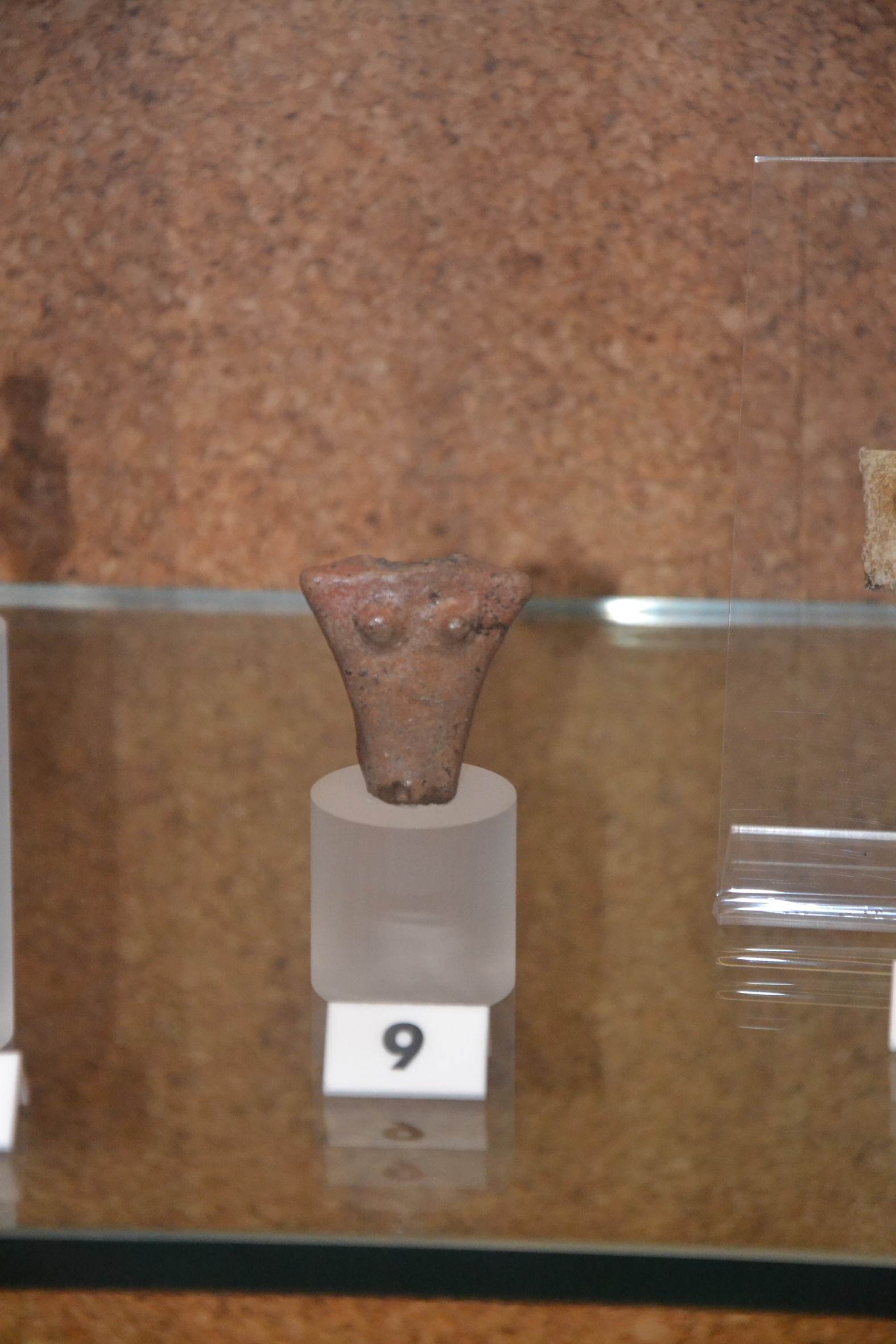 materiale di collezione museale (ceramica) (Neolitico recente)