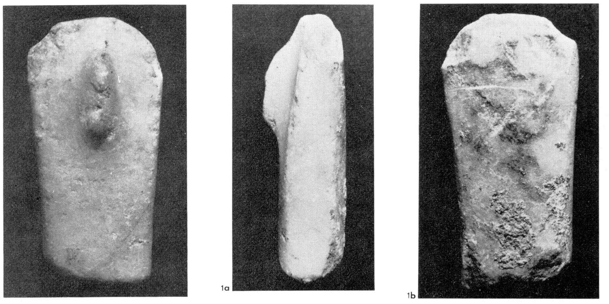 materiale di collezione museale (materiale lapideo) (Neolitico recente)