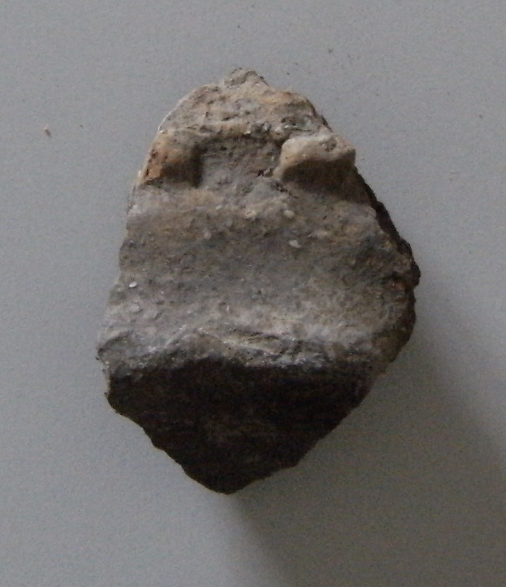 olla - celtico (sec. V - III a.C)