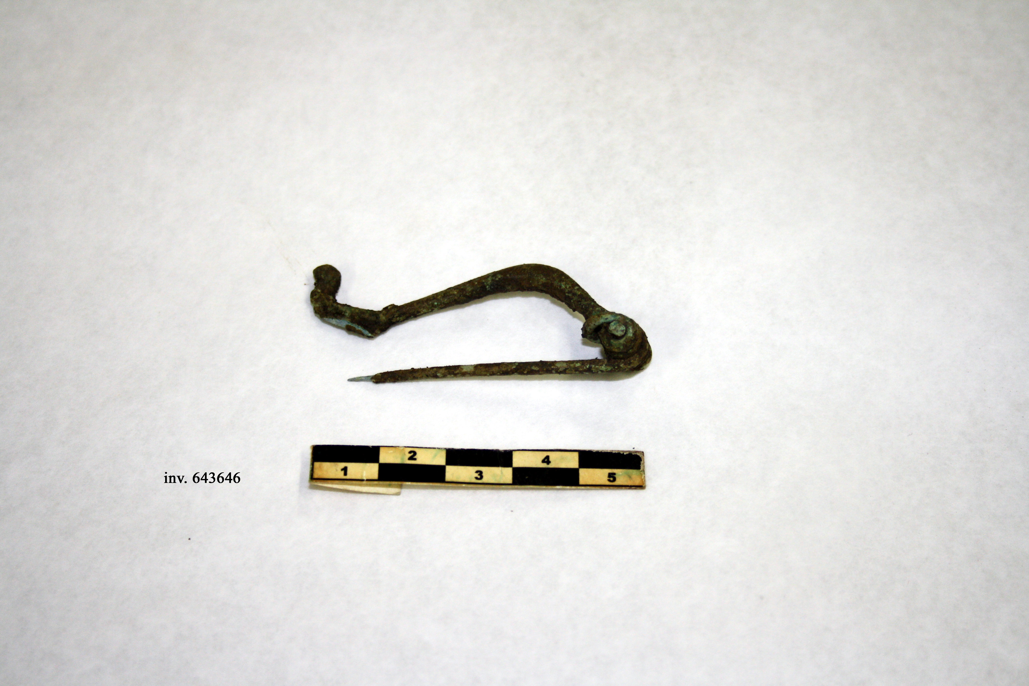 fibula, ad arco angolato, tipo Certosa (inizio/ meta' V-IV a.C)