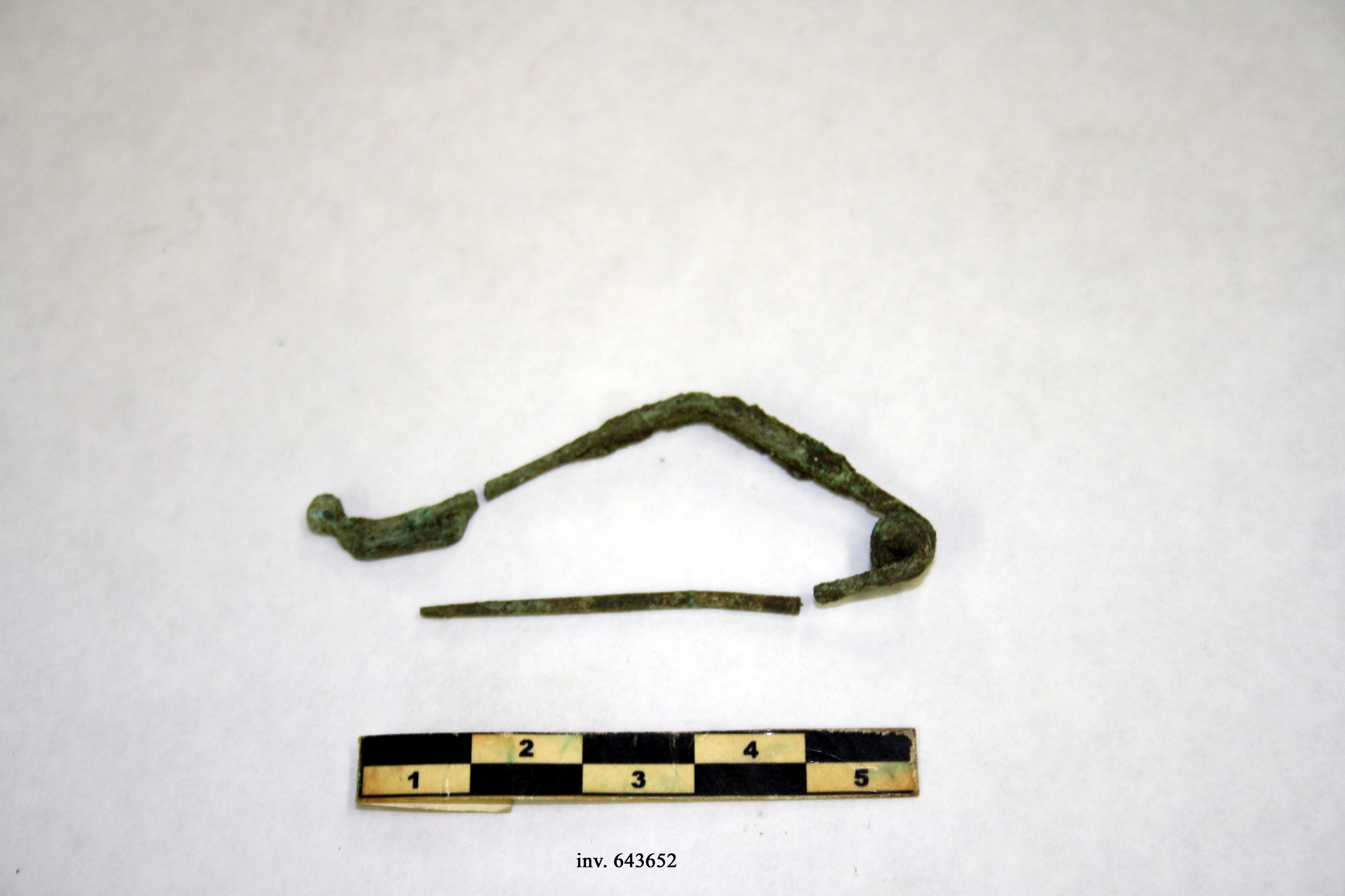 fibula, ad arco a gomito, tipo Certosa (inizio/ meta' V-IV a.C)